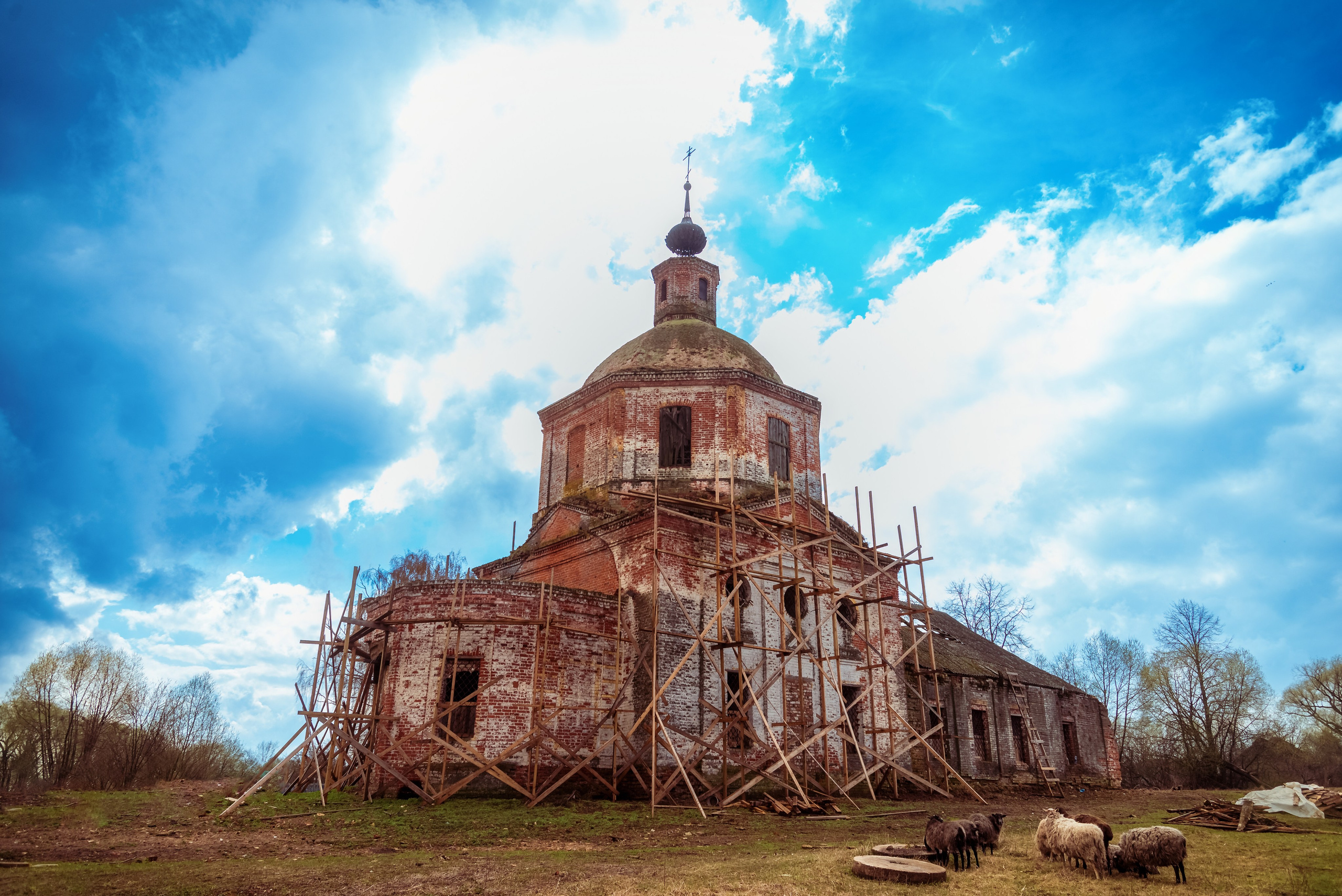 Храмы России. Женский фотограф Крещение Венчание Москва Брянск