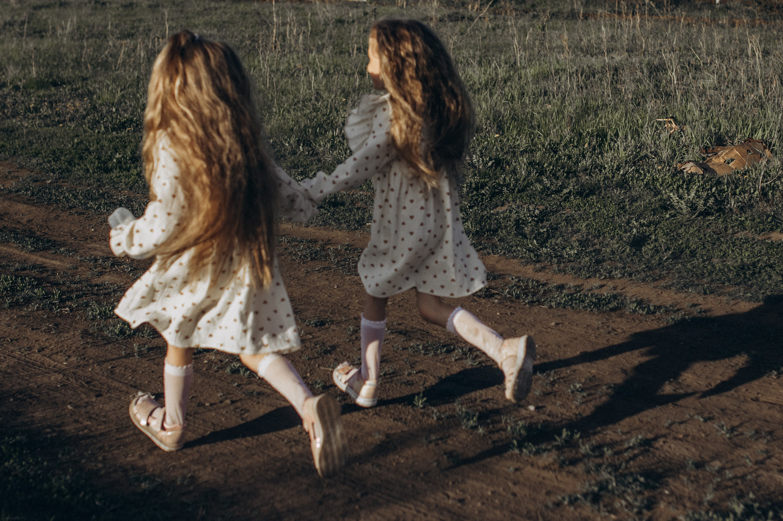 Саша, Миша, Вера и Вика летняя прогулочная съёмка. Семейный фотограф lifestyle в Новосибирске Елена Шпилевая