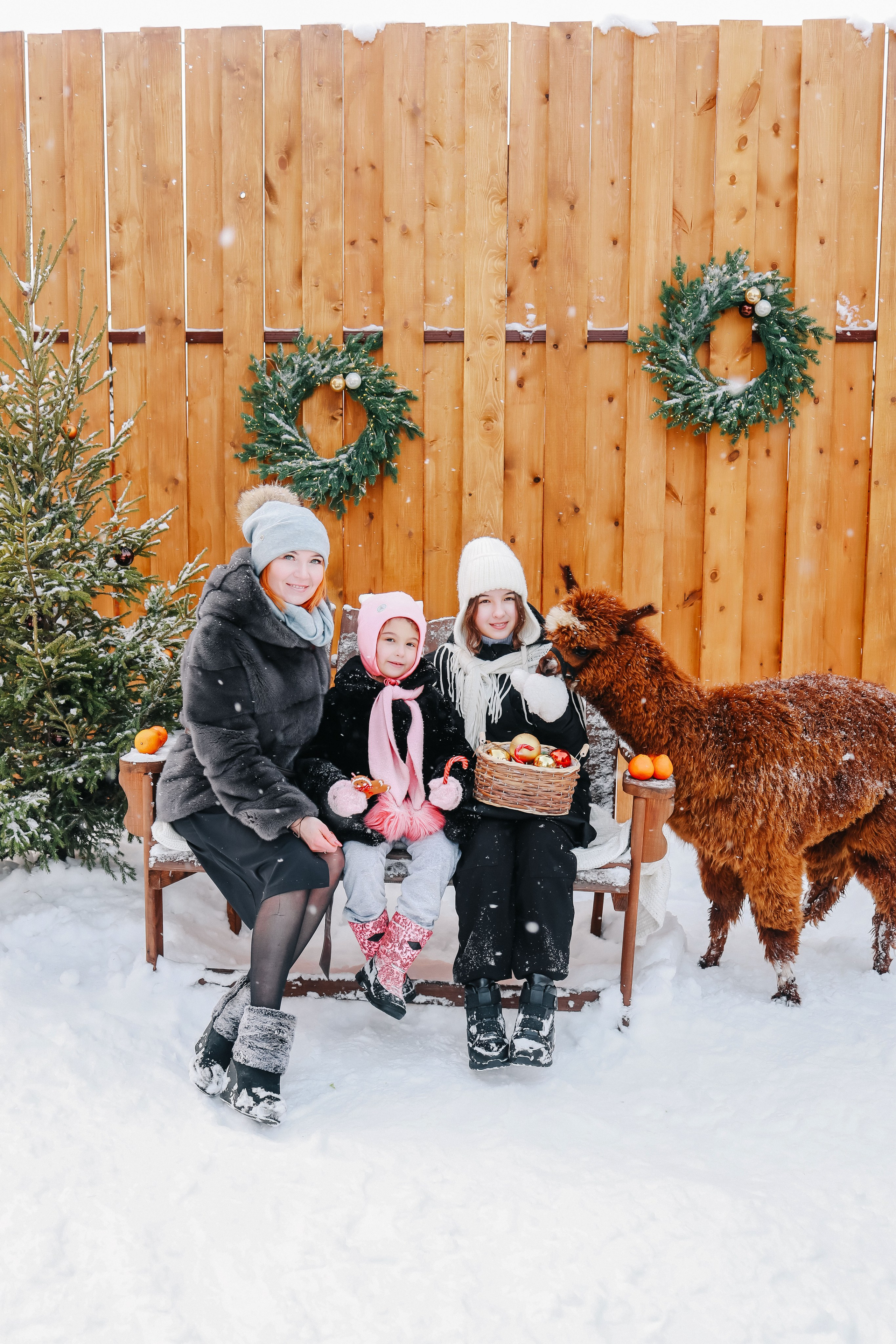 Семейная фотосессия с Альпакой. Иванова Ирина Свадебный и семейный фотограф г. Уфа