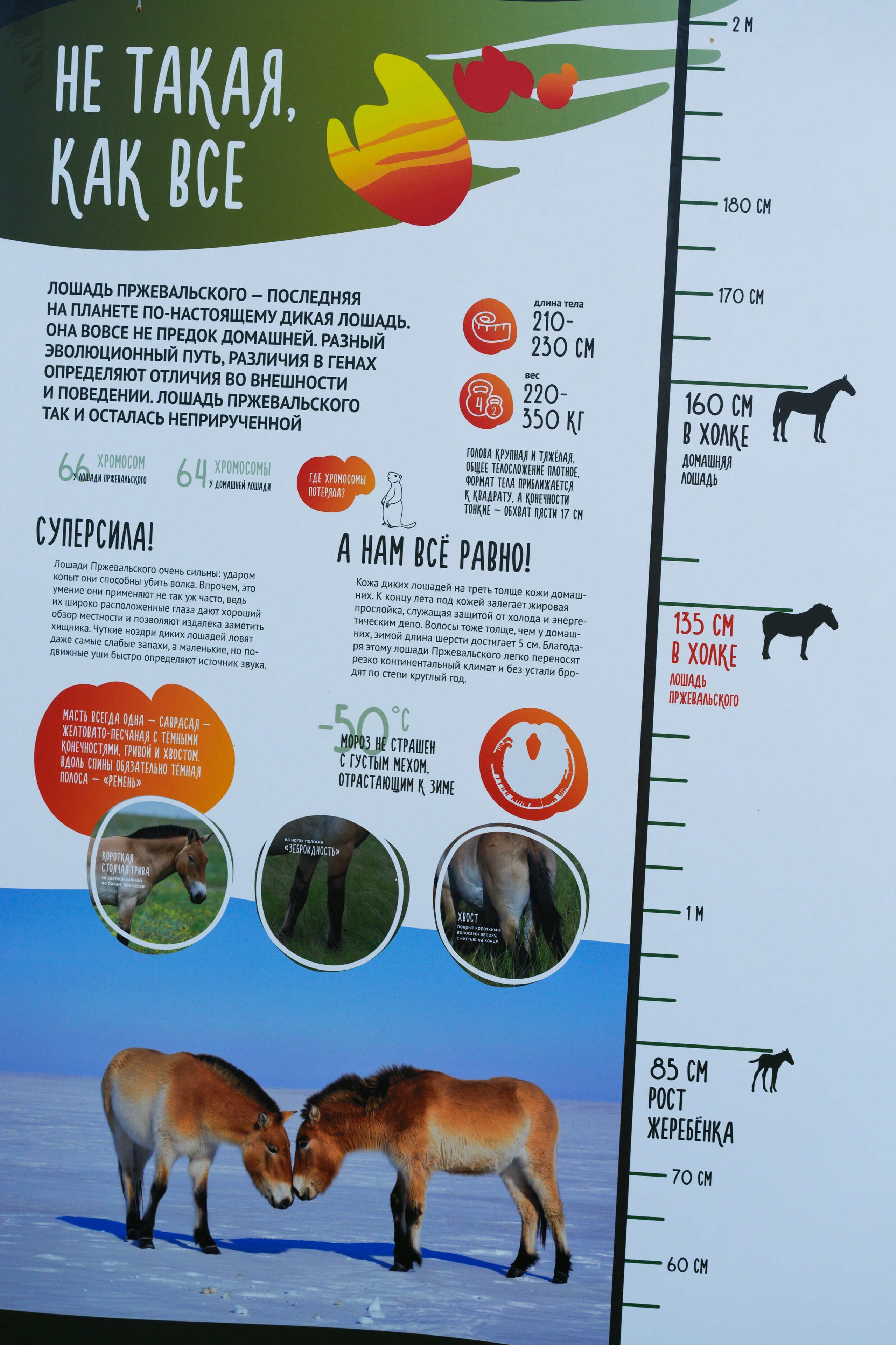 Оренбуржье. Портретный фотограф в Челябинске Катерина Руди