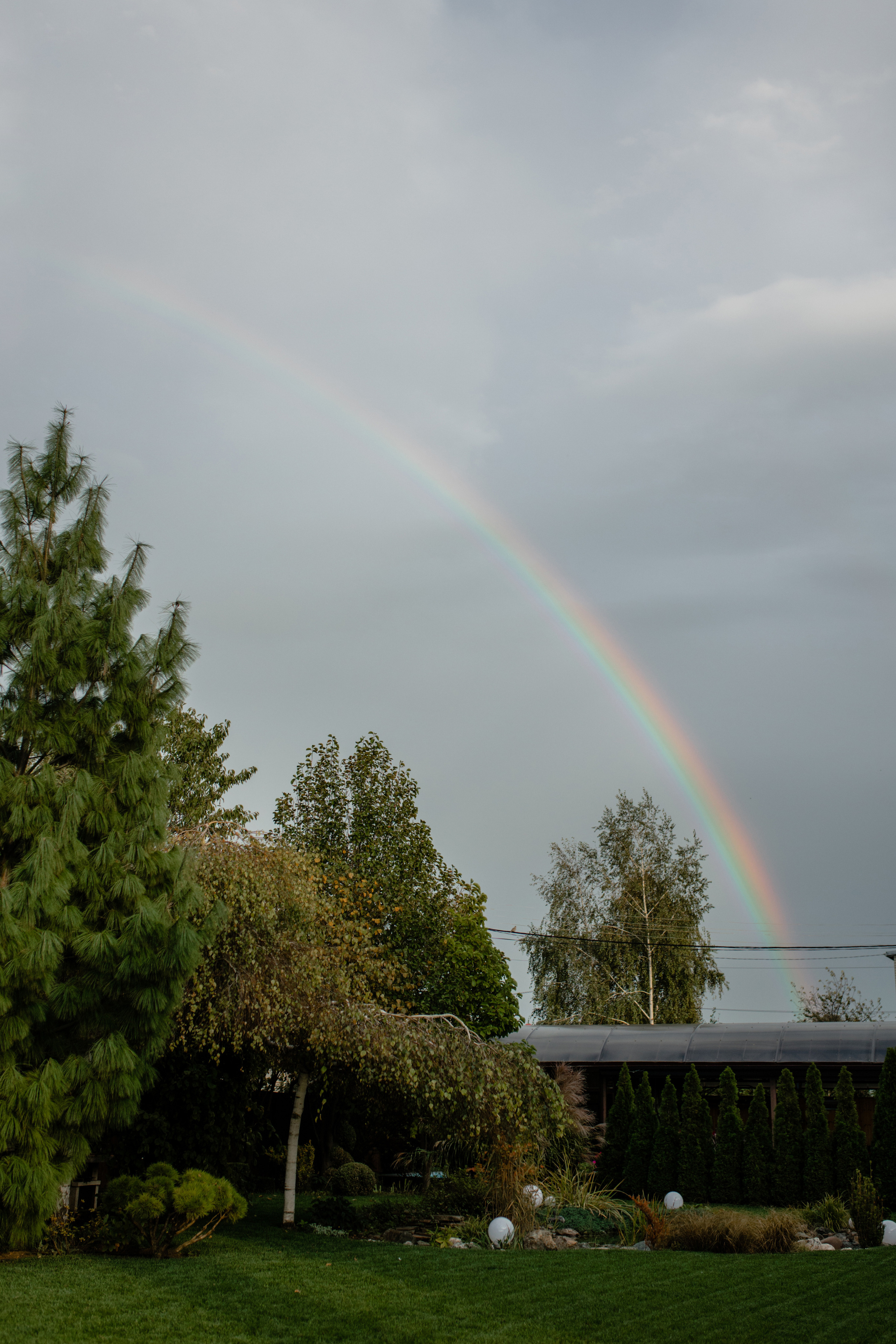 Анастасия. Профессиональный садовник. Фотограф Олеся Голева