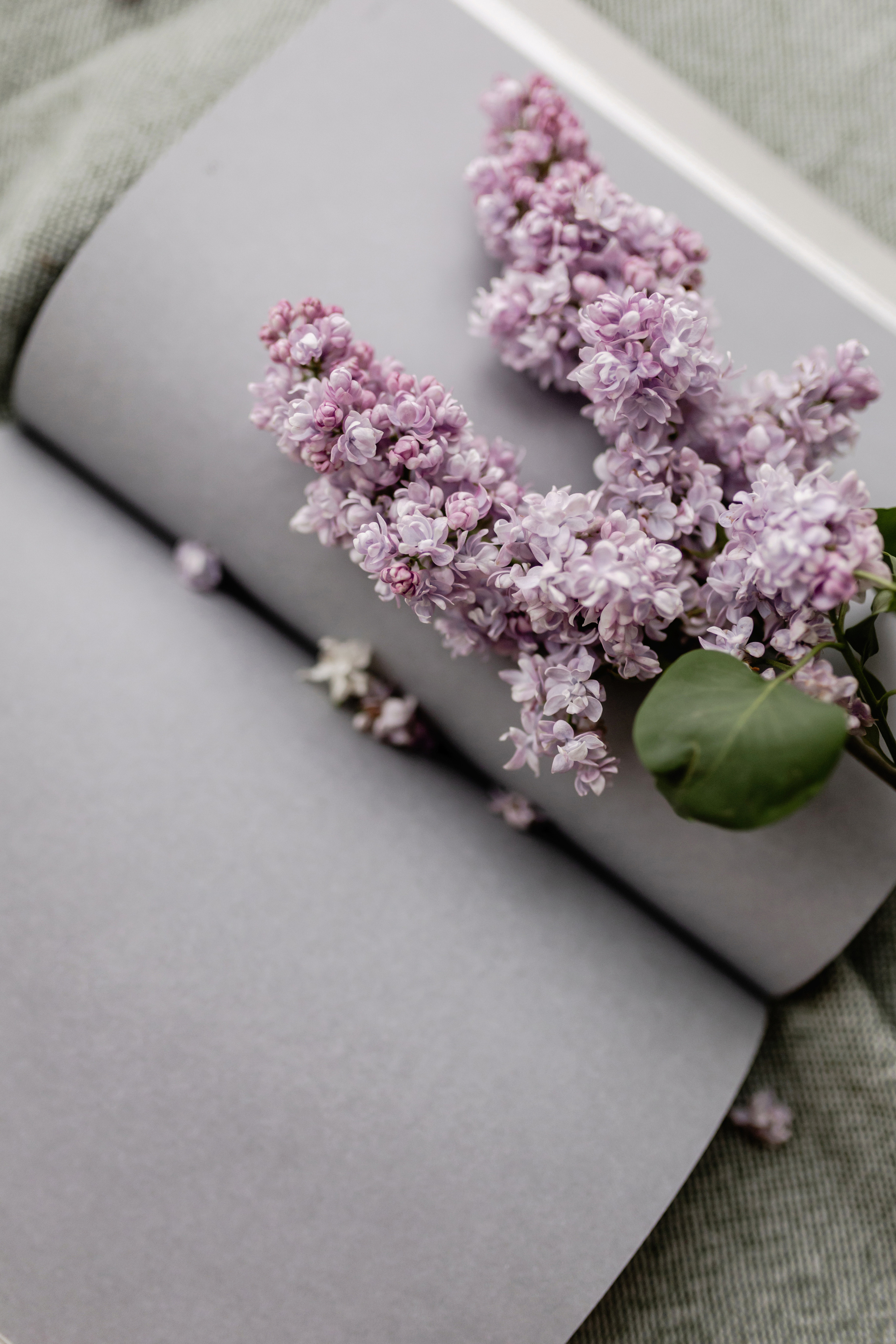 Lemo. Флористика. Фотограф Олеся Голева