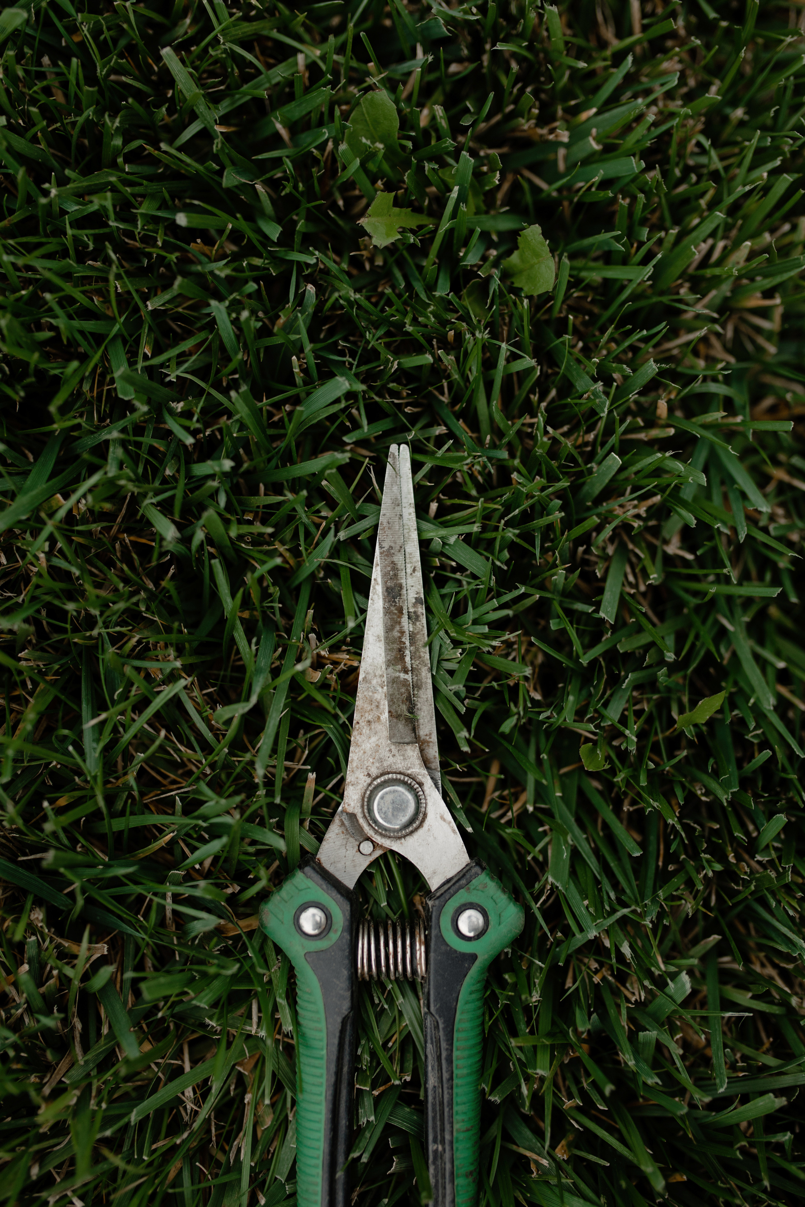 Анастасия. Профессиональный садовник. Фотограф Олеся Голева