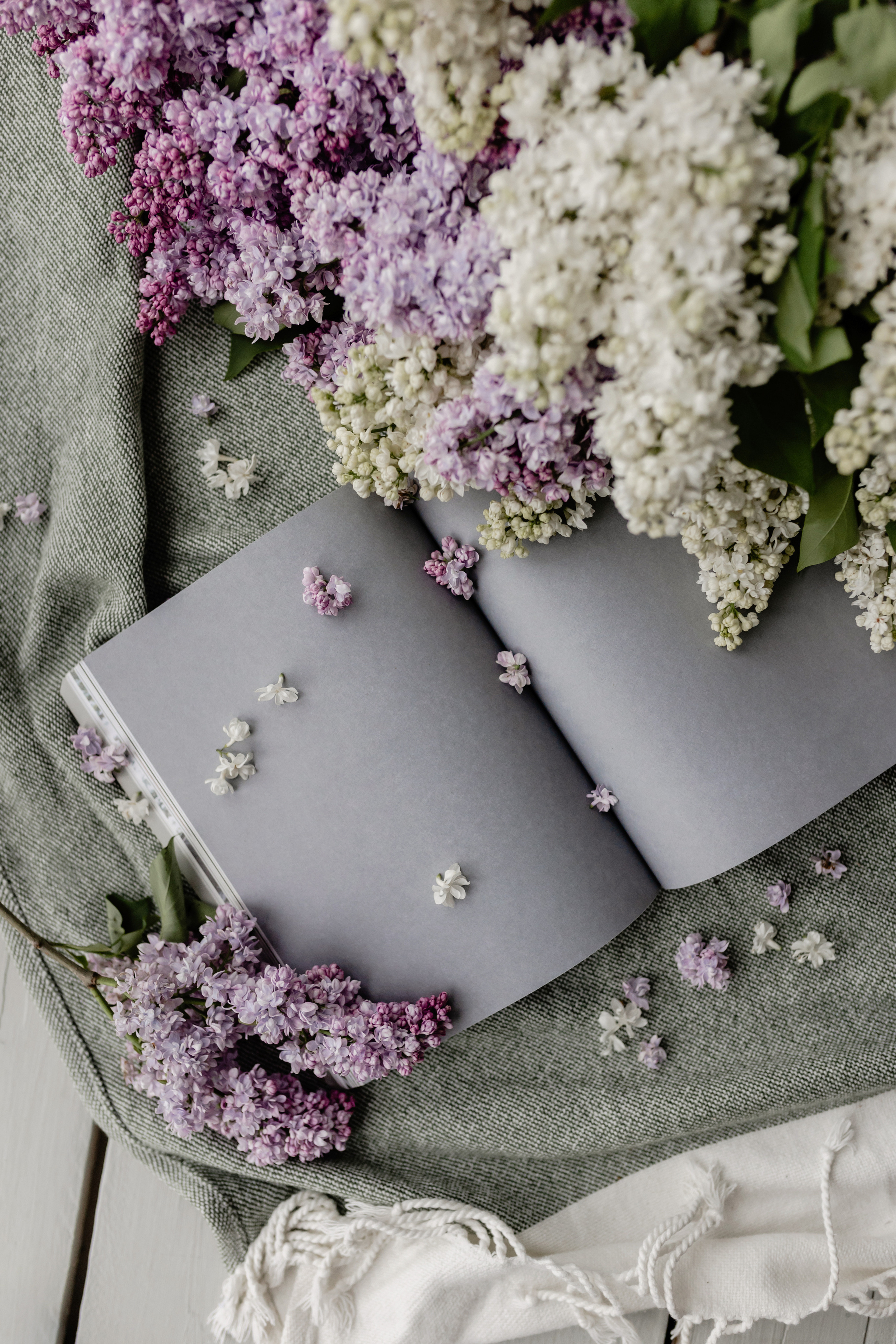 Lemo. Флористика. Фотограф Олеся Голева