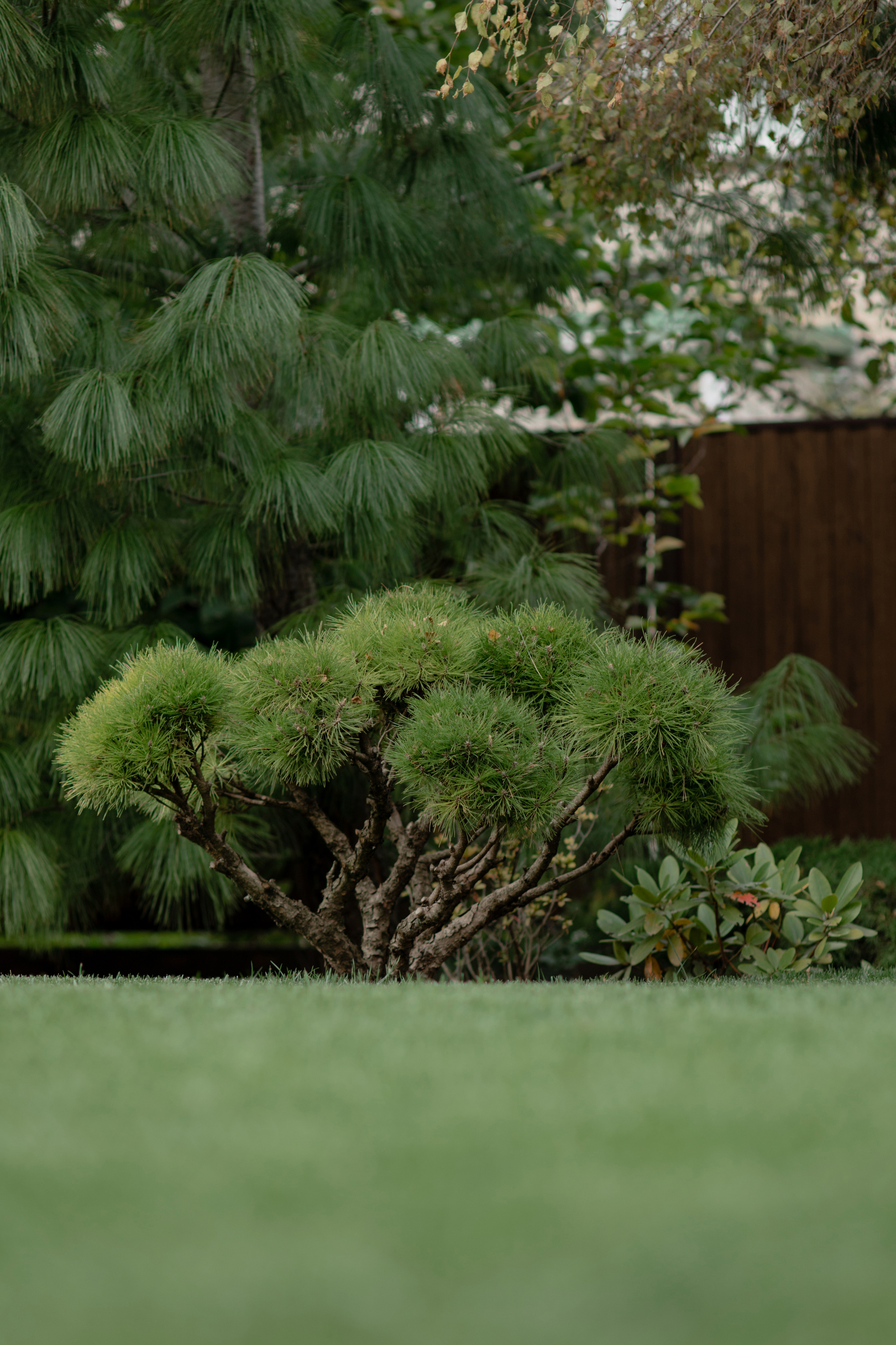 Анастасия. Профессиональный садовник. Фотограф Олеся Голева