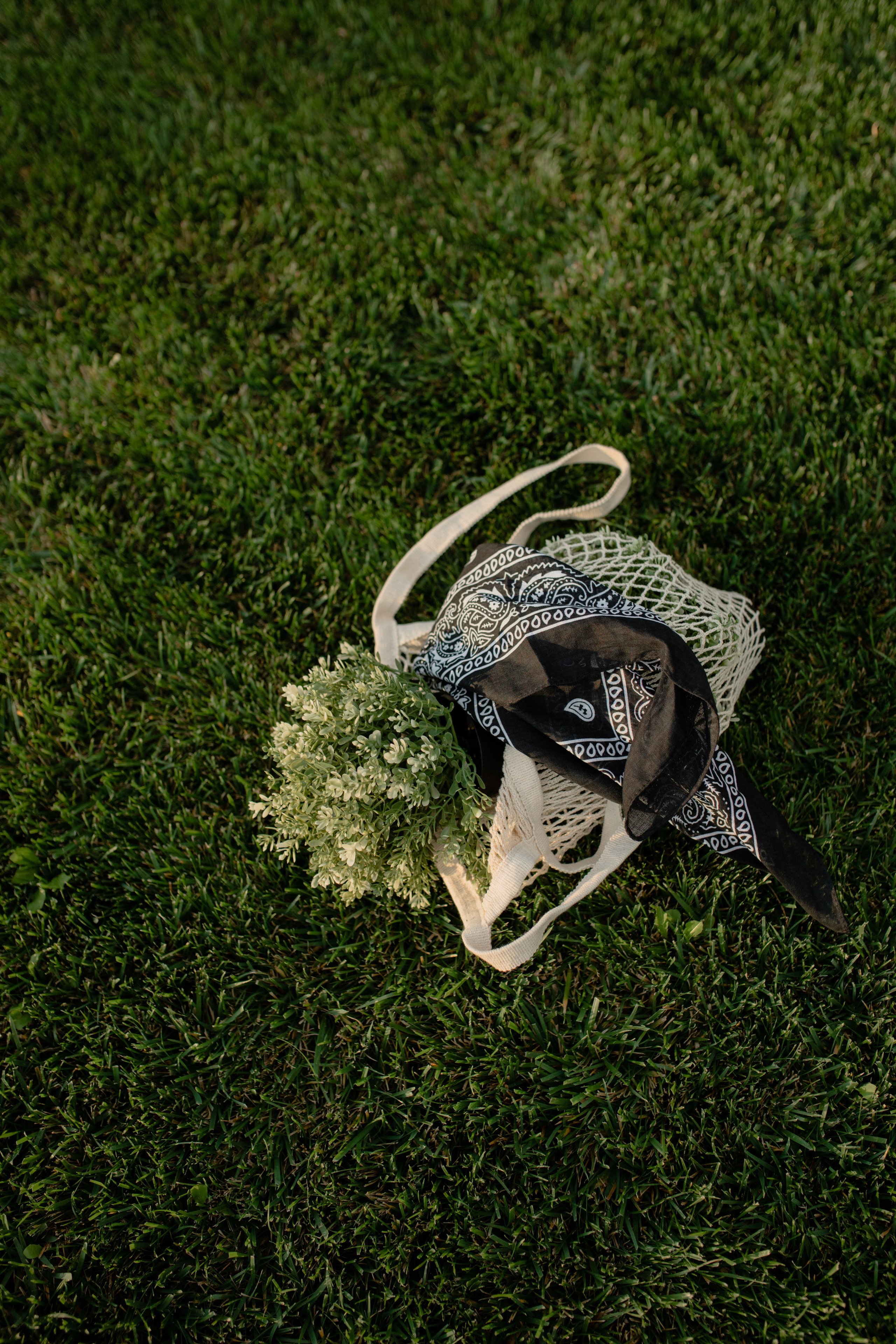 Анастасия. Профессиональный садовник. Фотограф Олеся Голева