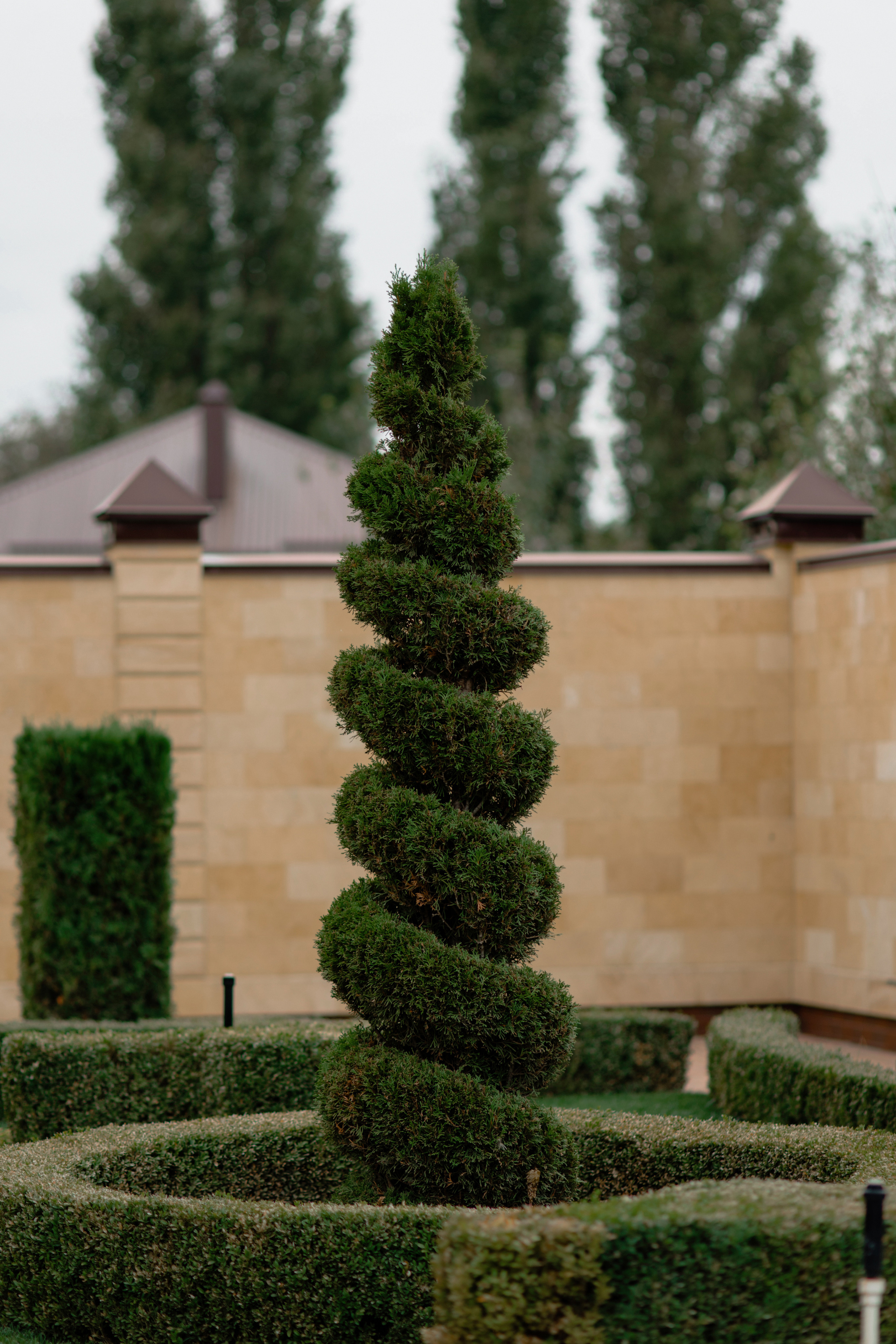 Анастасия. Профессиональный садовник. Фотограф Олеся Голева