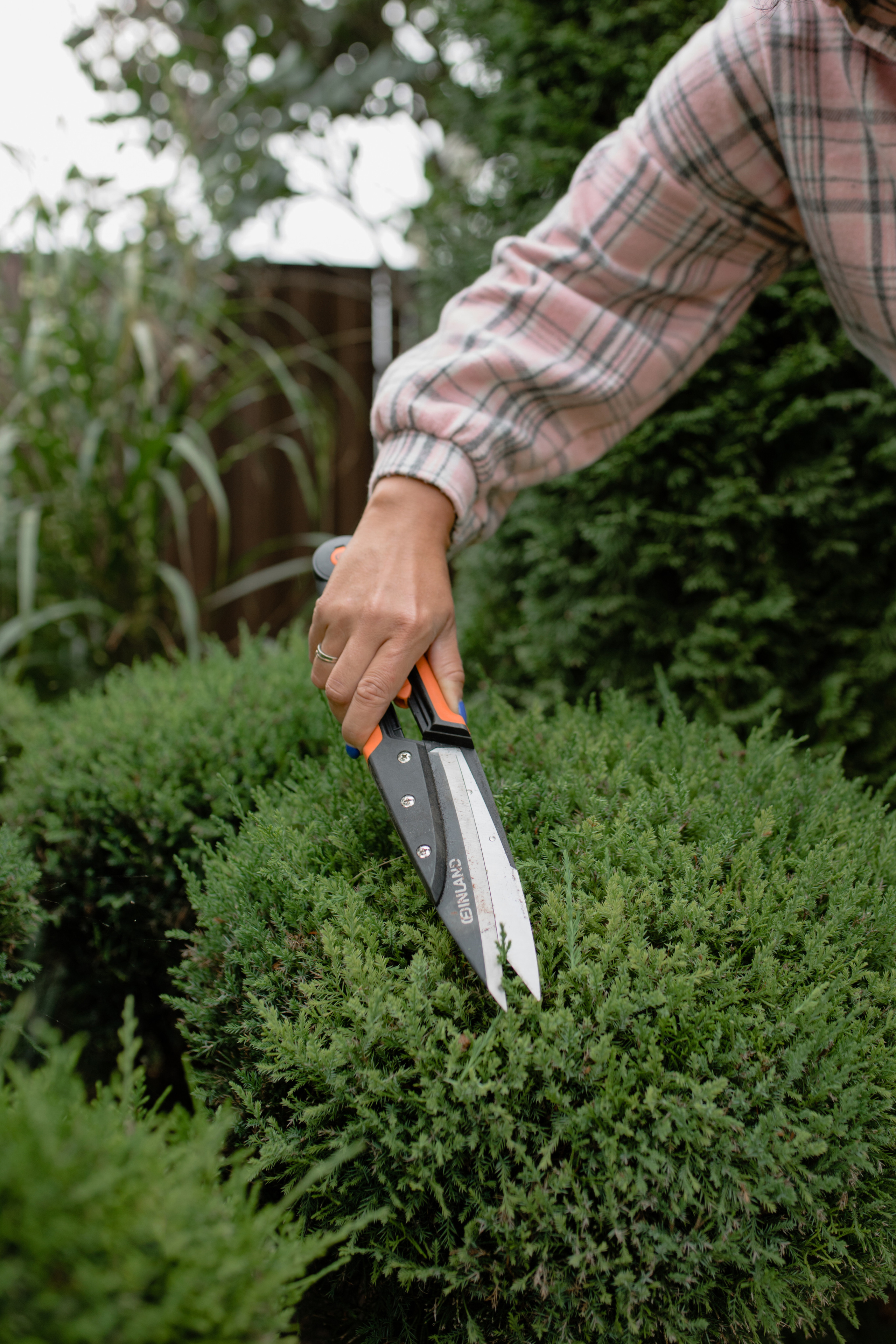 Анастасия. Профессиональный садовник. Фотограф Олеся Голева