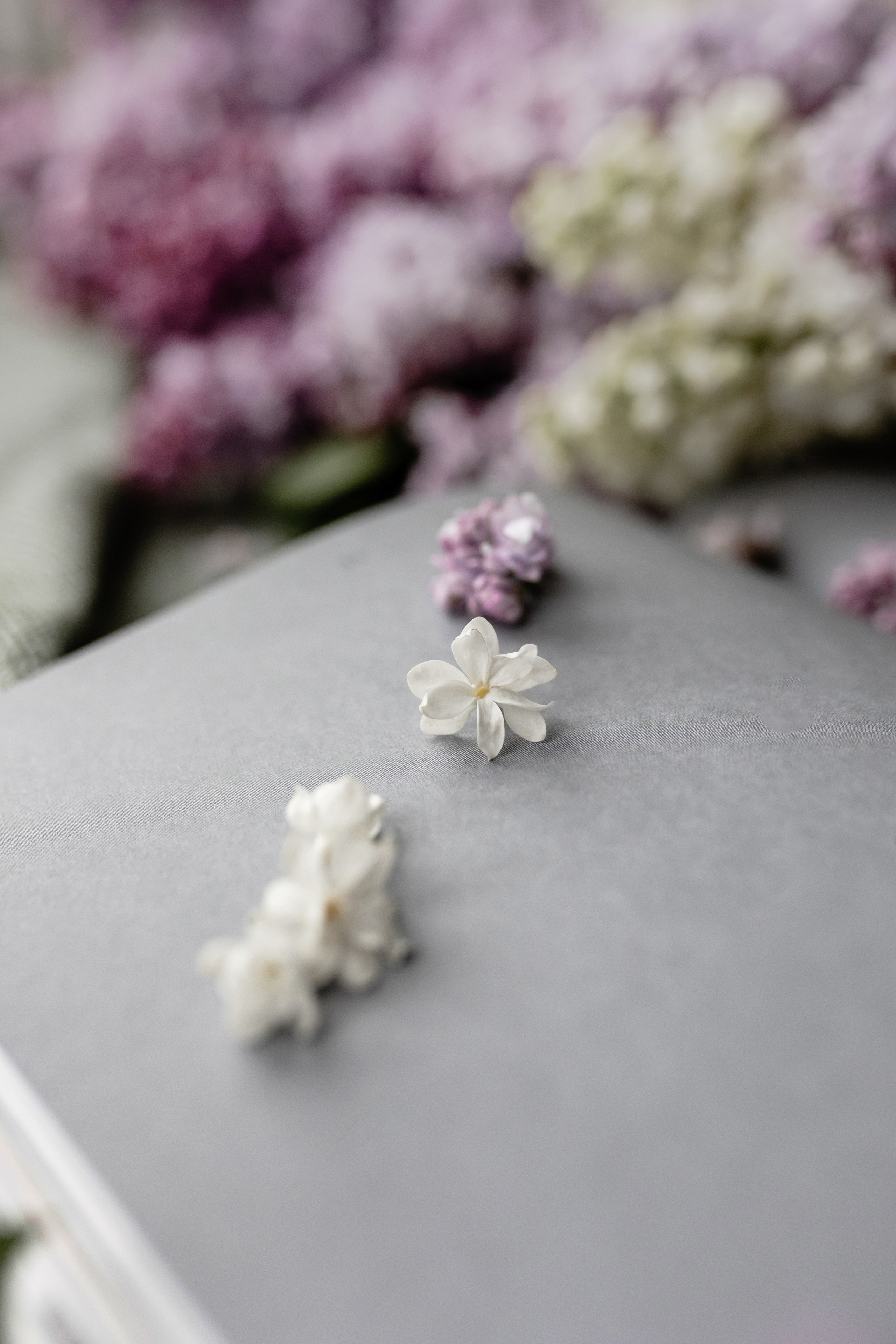 Lemo. Флористика. Фотограф Олеся Голева