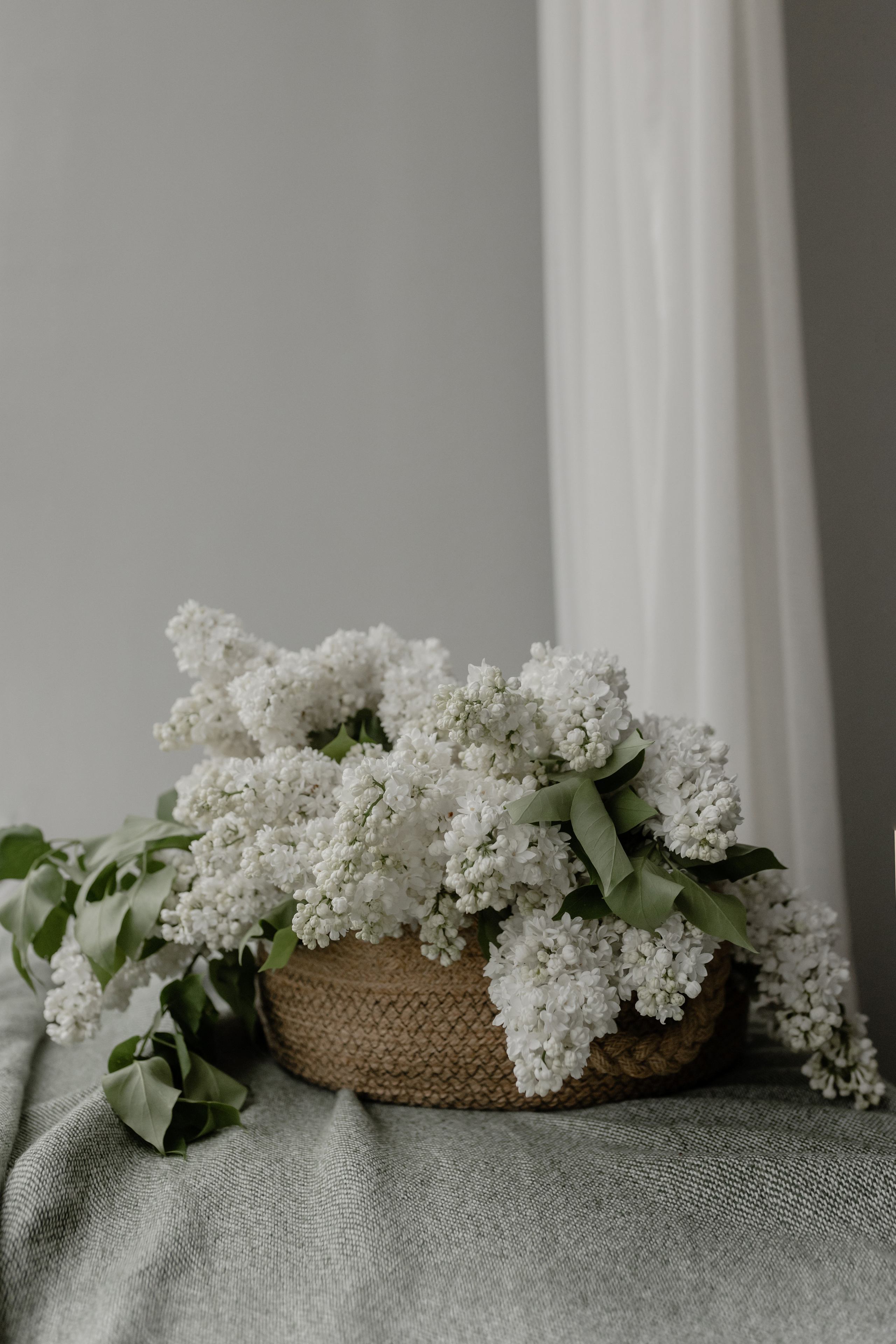 Lemo. Флористика. Фотограф Олеся Голева