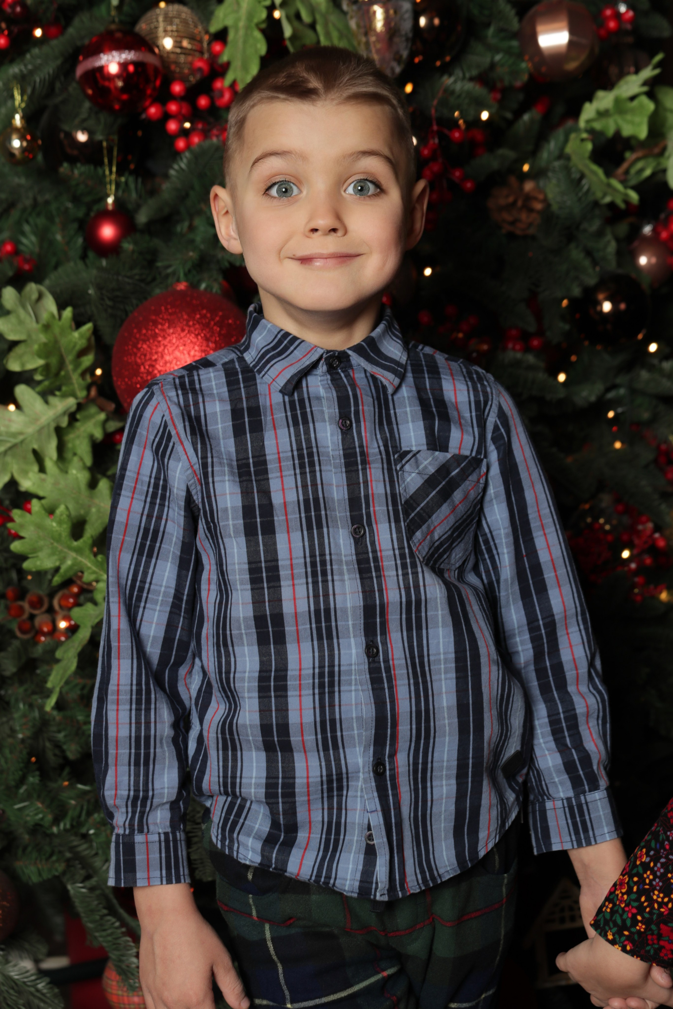 Новогодние истории. Профессиональный фотограф Алена Александрова