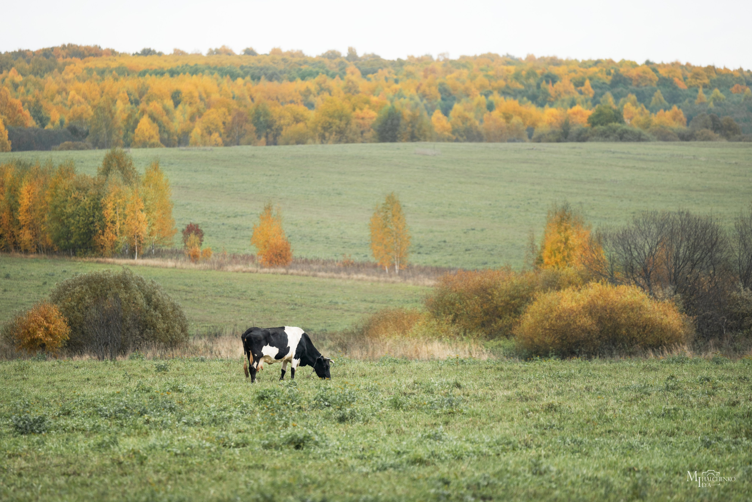 Пейзажи и архитектура. Портретная и репортажная съёмка