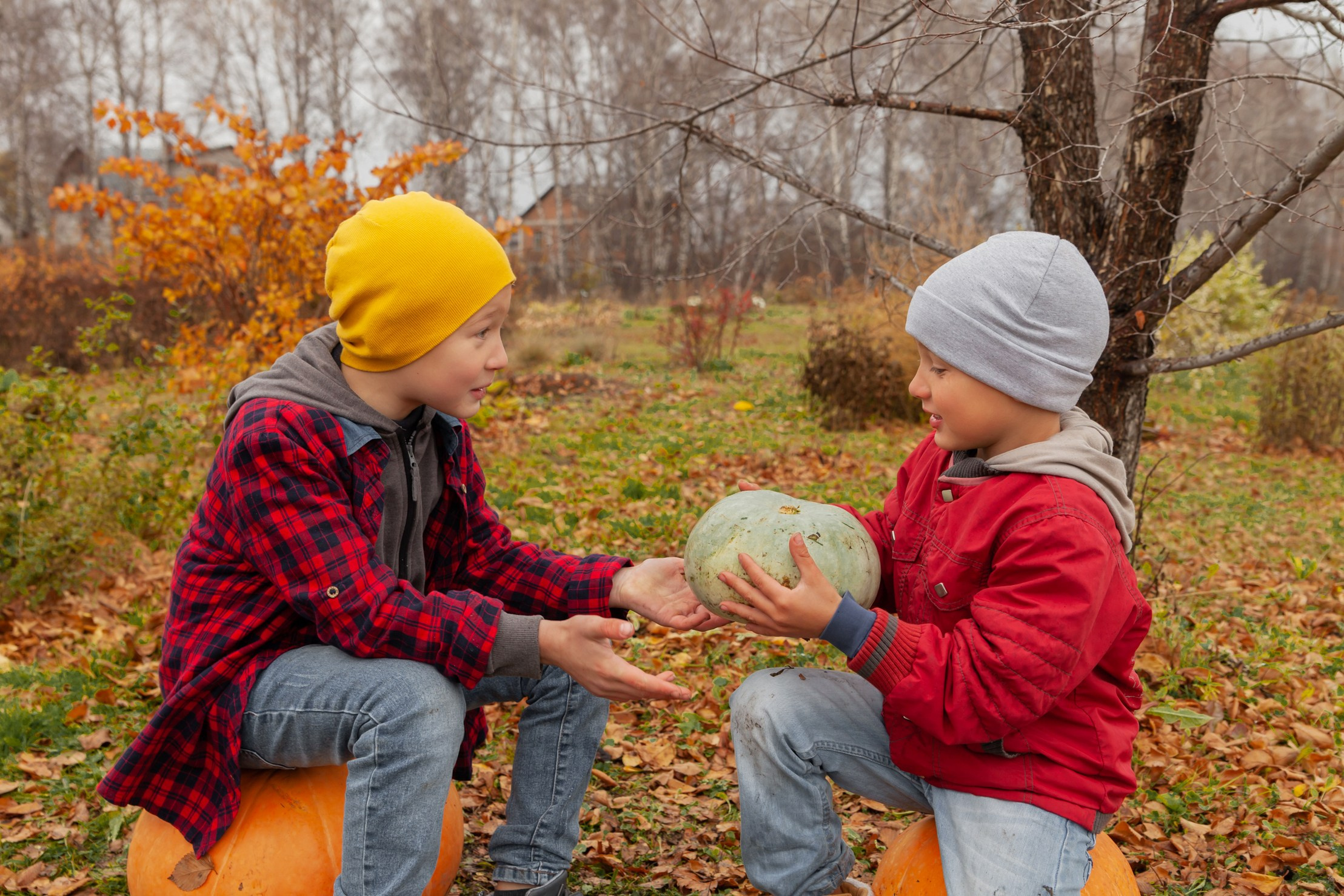 Осень. Детский и семейный фотограф в Бердске и Новосибирске Дарья Гребнева