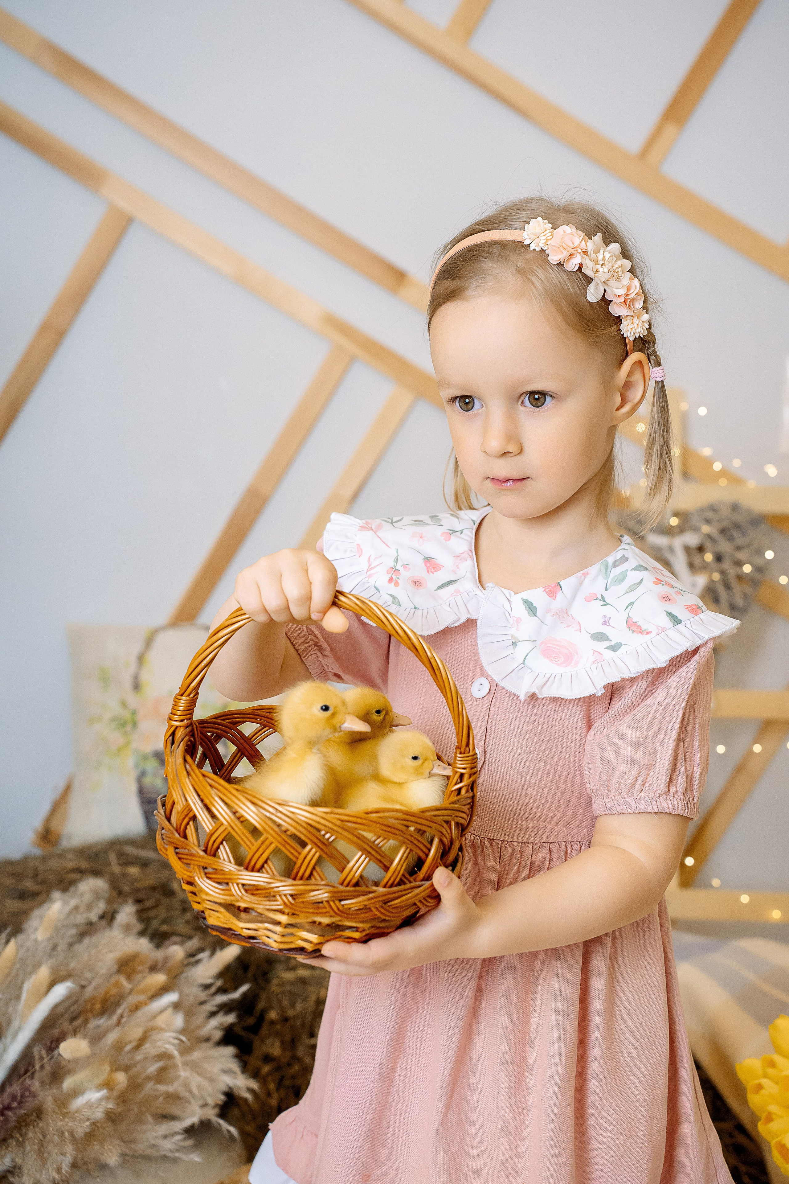 Утята. Фотограф Казакова Анастасия