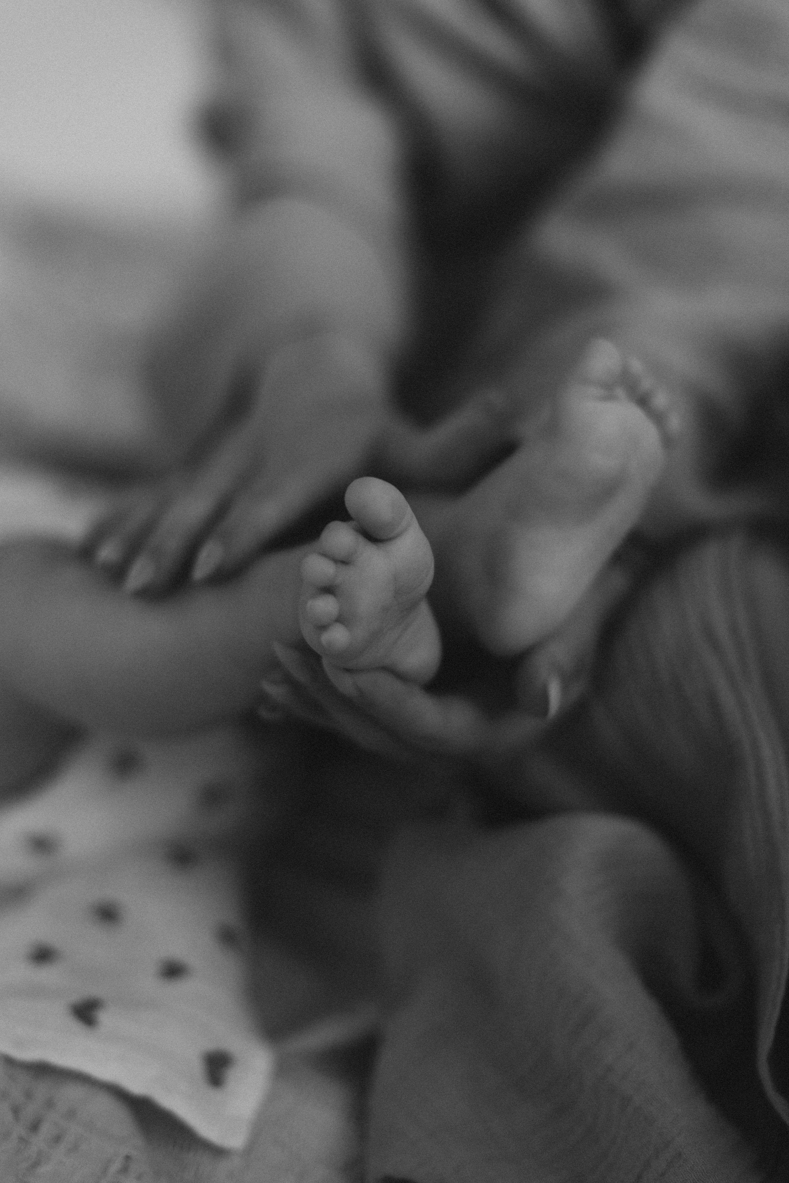 ФОТОПРОЕКТ «МАМА И МАЛЫШ». Семейный фотограф в г. Ставрополь, Сорокина Мария