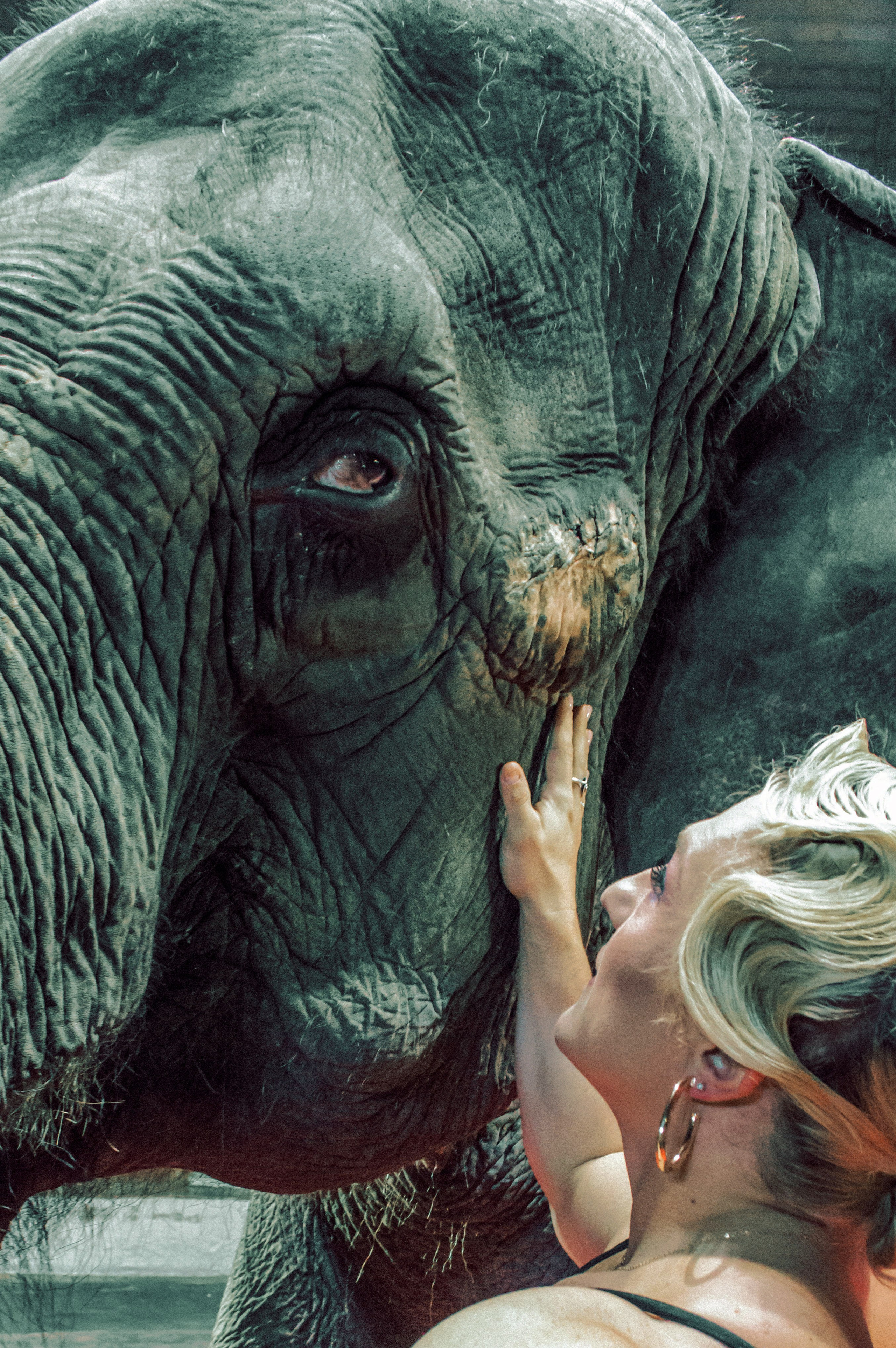 Екатерина. Главная