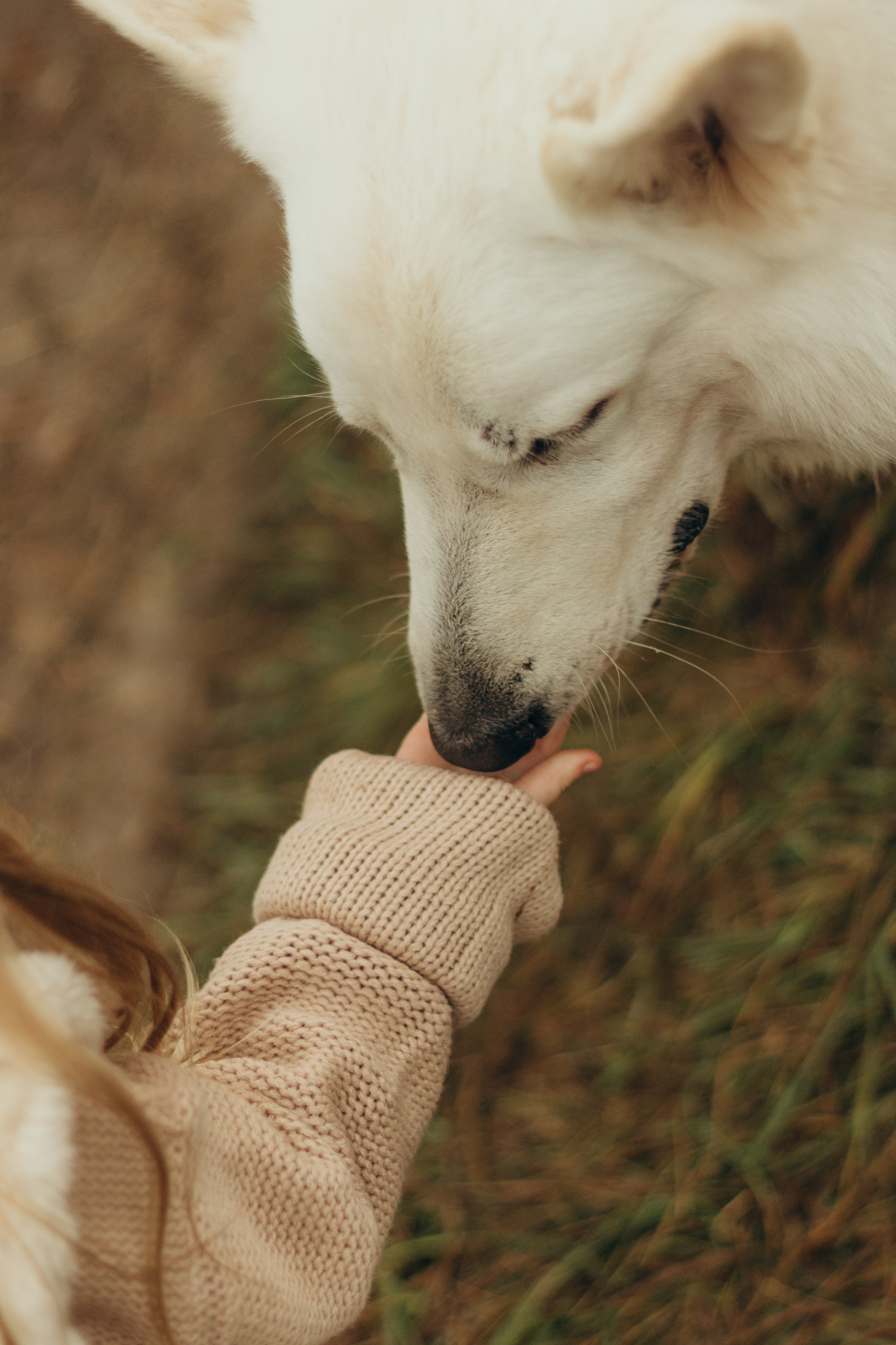 Есения и Скай. Семейный и детский фотограф в Санкт-Петербурге — Лаврова Ольга