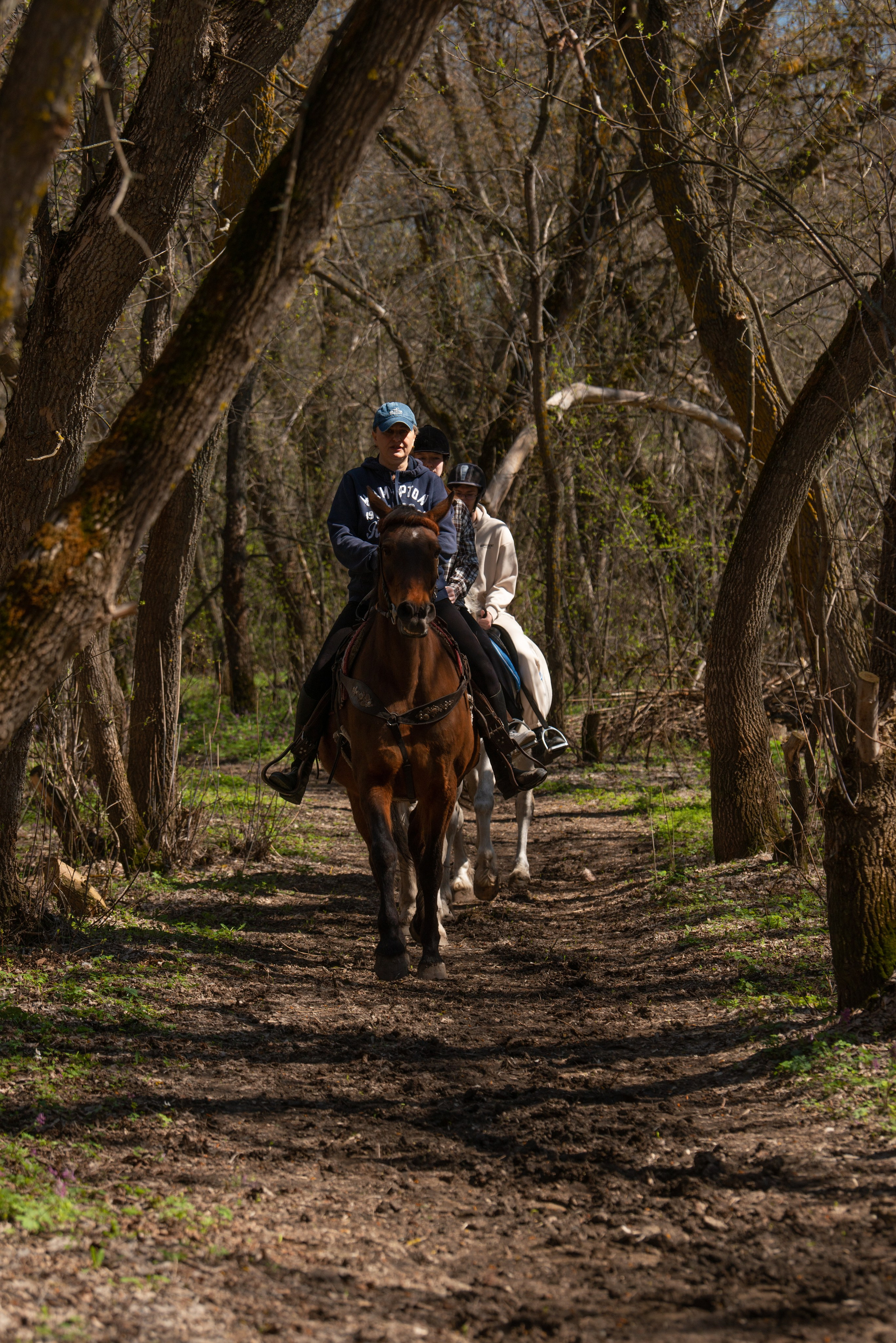 Прогулка. Конный фотограф в Саратове Юлия Иванова