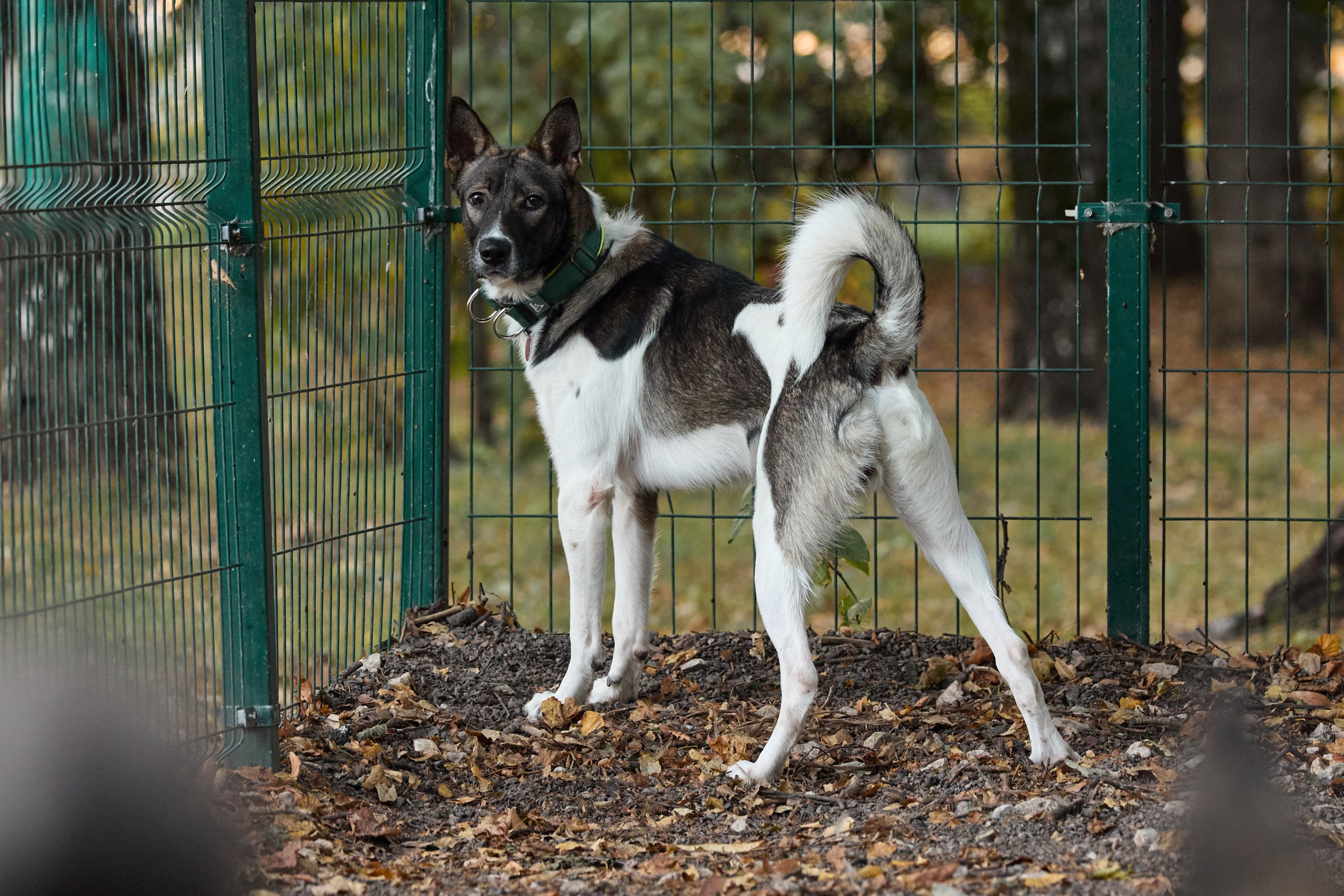 Пиар. Фотограф Ирина Астор