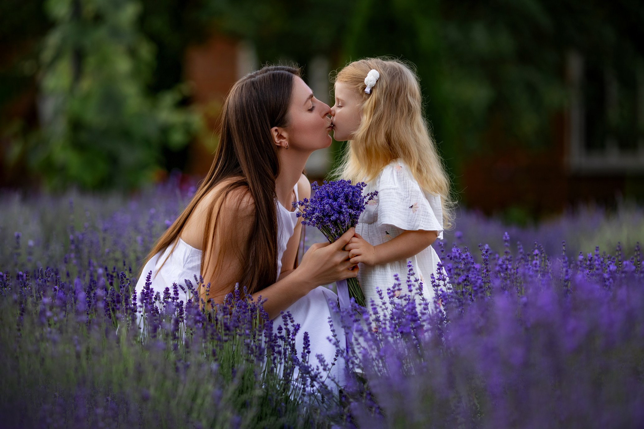 Лаванда июнь–июль. Семейный и детский фотограф |Брянск| Анастасия Перепелкина