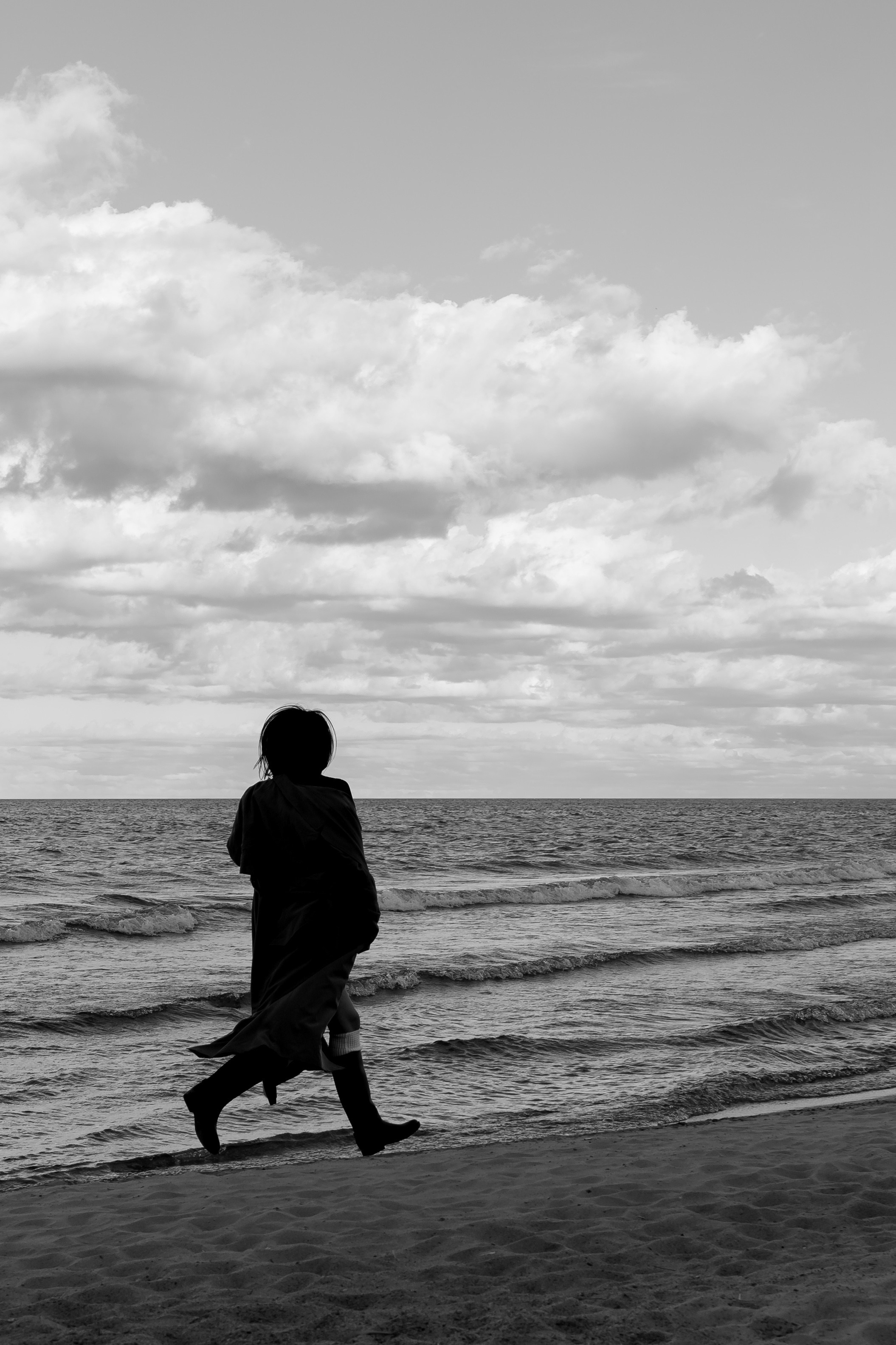 Розы. Профессиональный фотограф, Санкт-Петербург — Виктория Богомолова