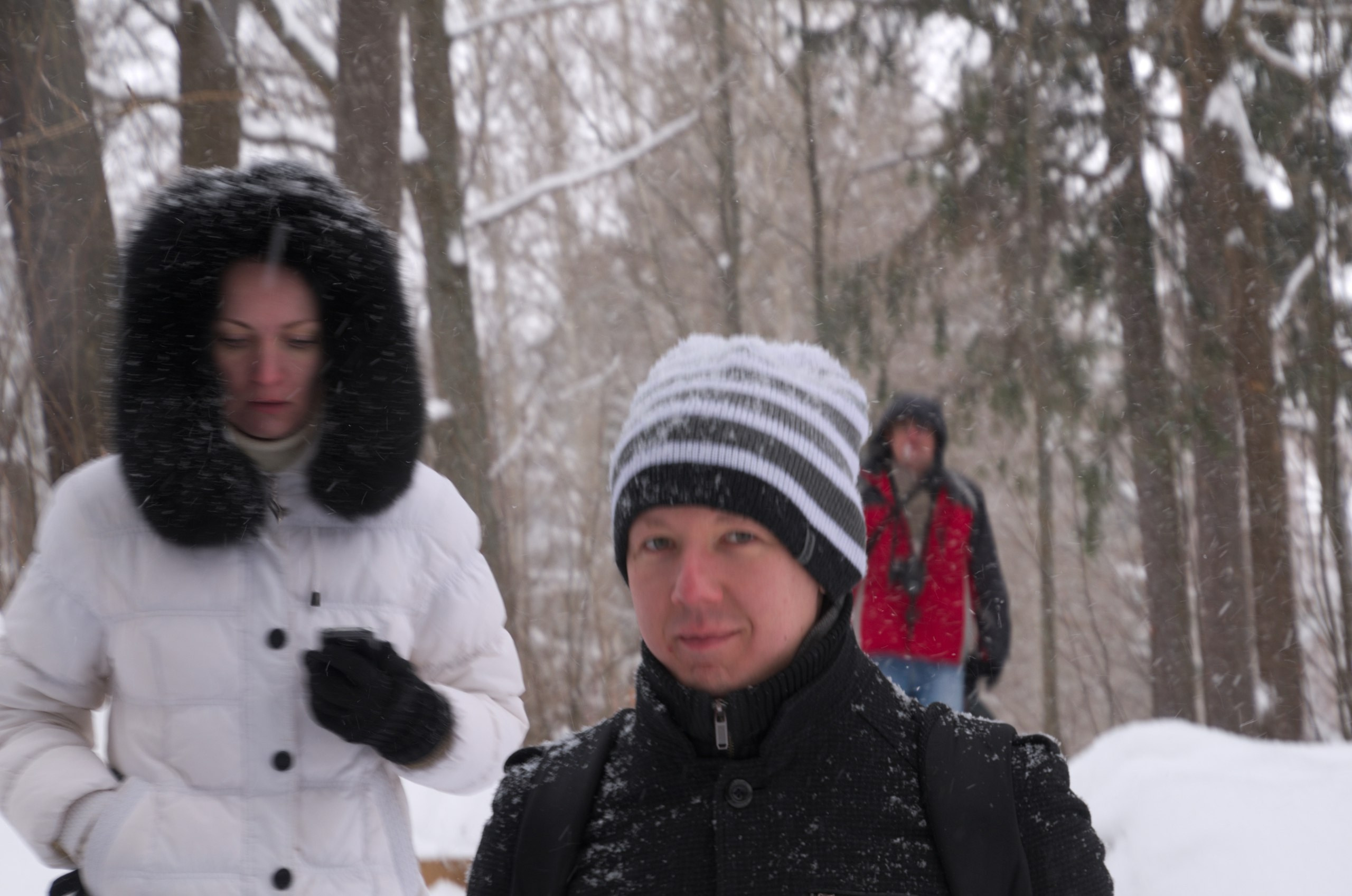 Сергиев Посад | 11.12.2016. Галерея Фантим