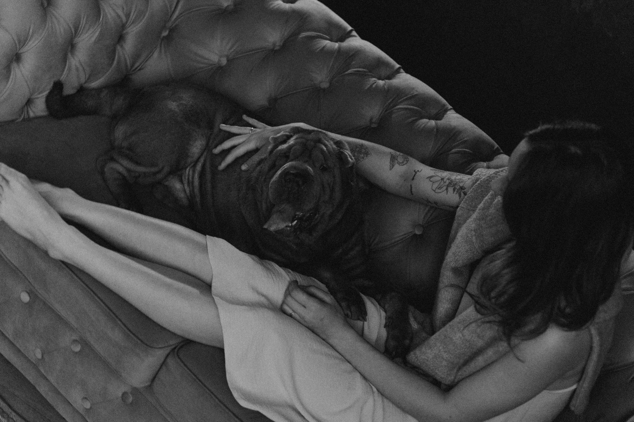 Ульяна и Вагнер. Фотограф — Анималист | Санкт-Петербург