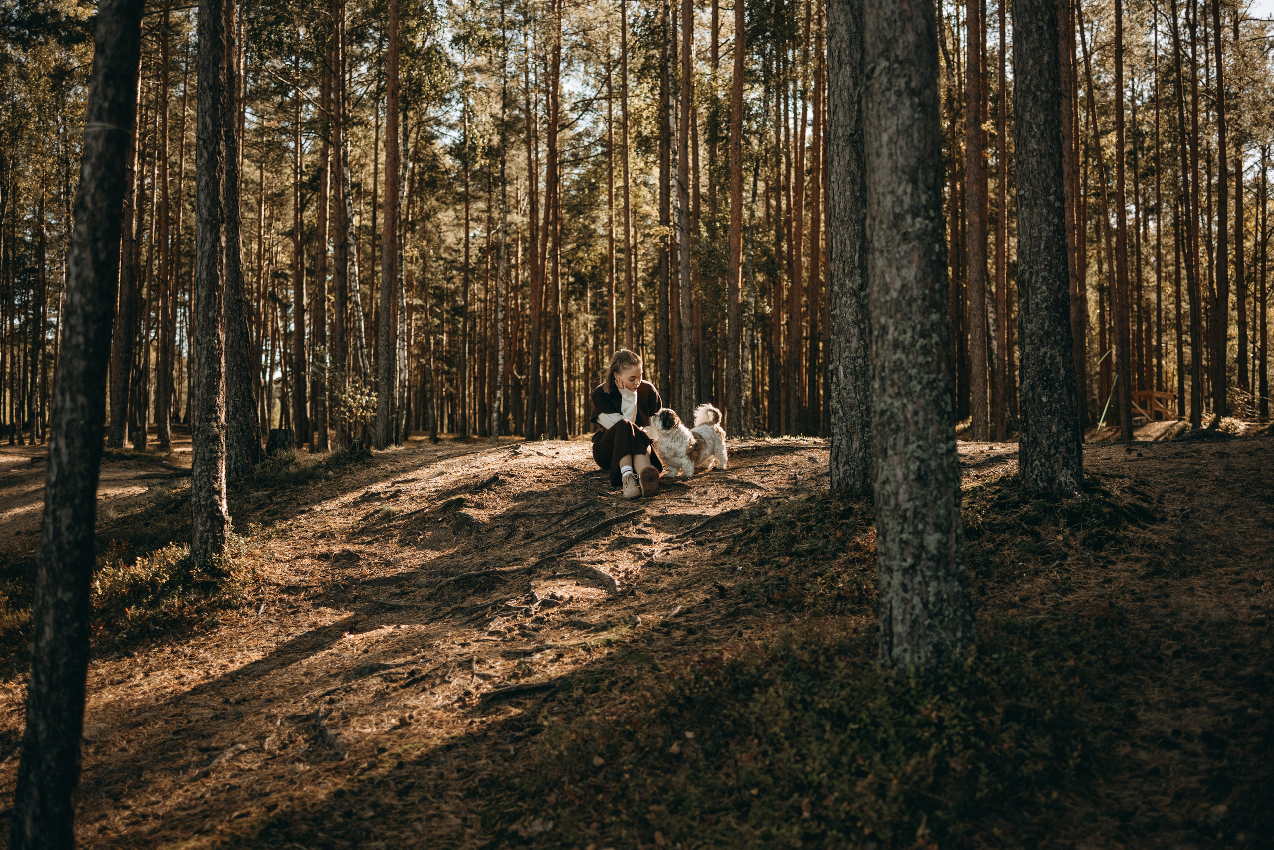 Настя и Франт. Фотограф — Анималист | Санкт-Петербург