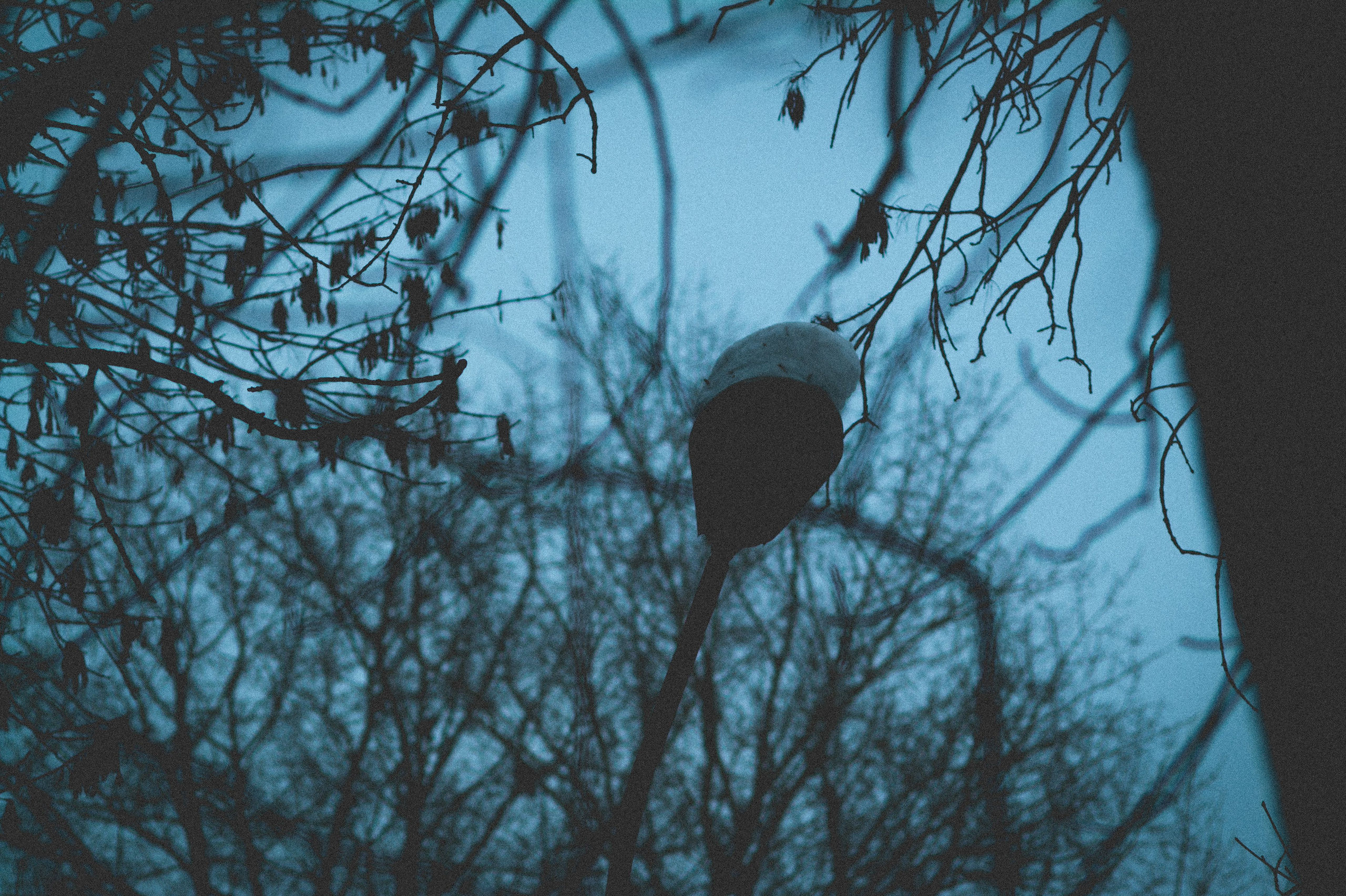 Судостроительный. Den Mirov — Фотограф, Музыкант