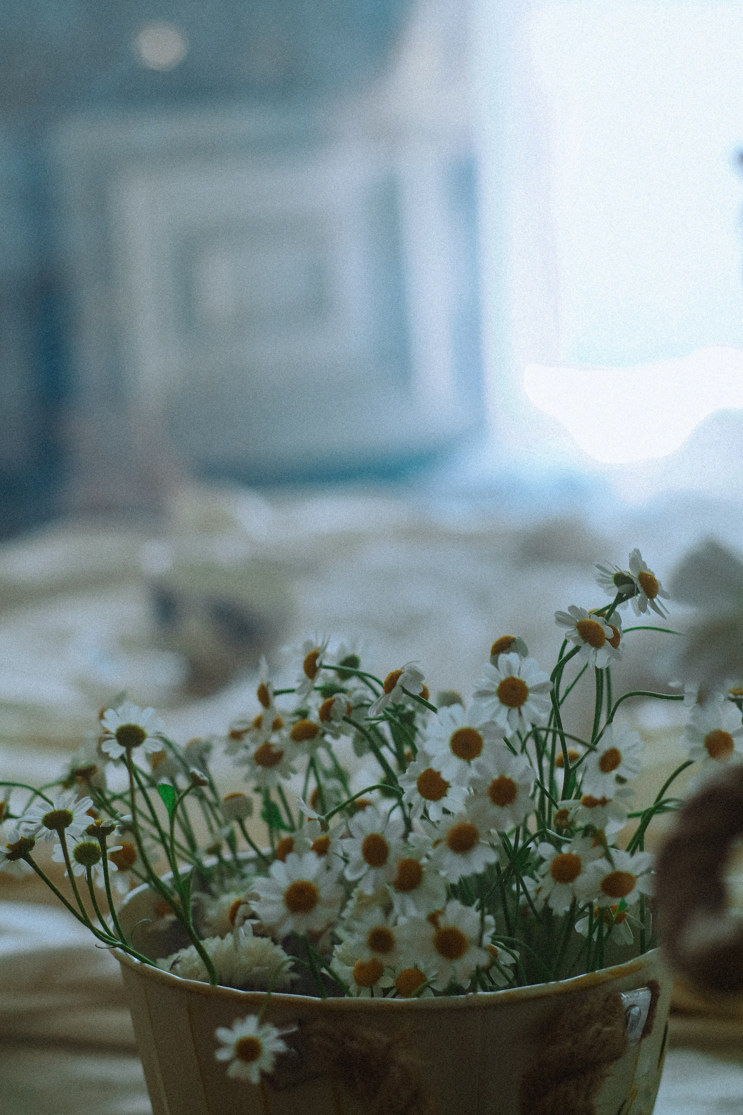 Детская семейная фотосессия. Фотограф и видеограф Анастасия Витюкова | Екатеринбург