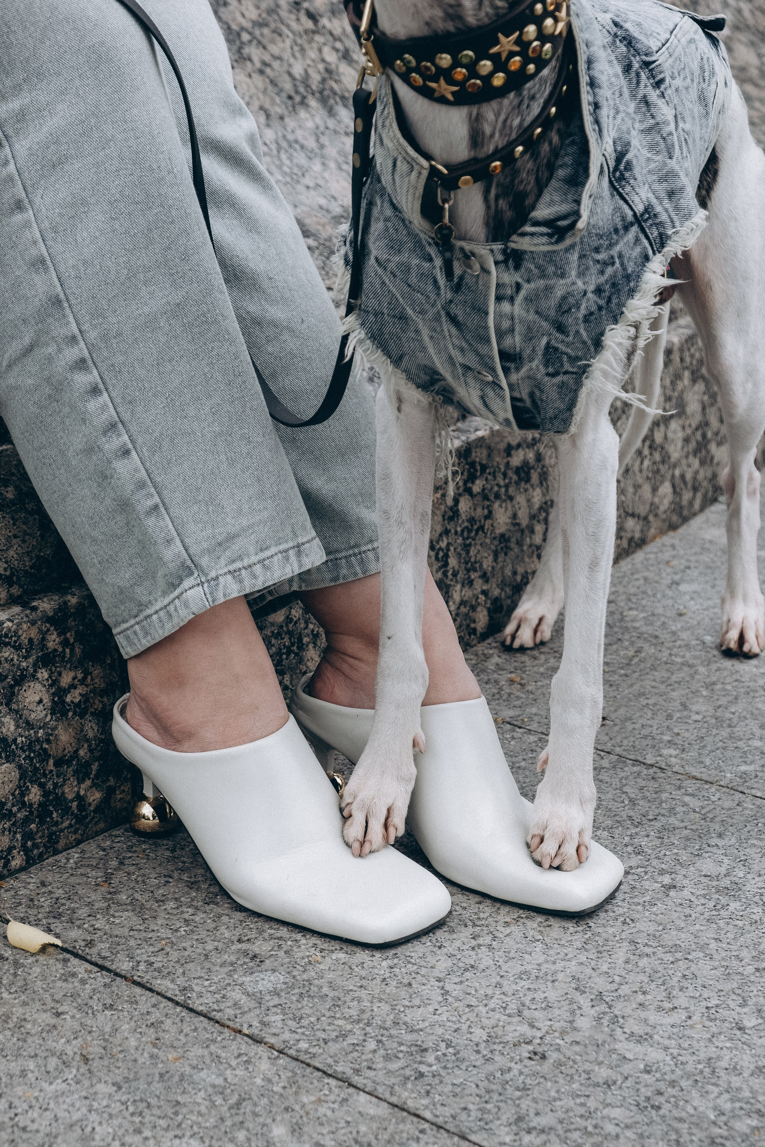 Animalism. Nataresso | фотограф Москва