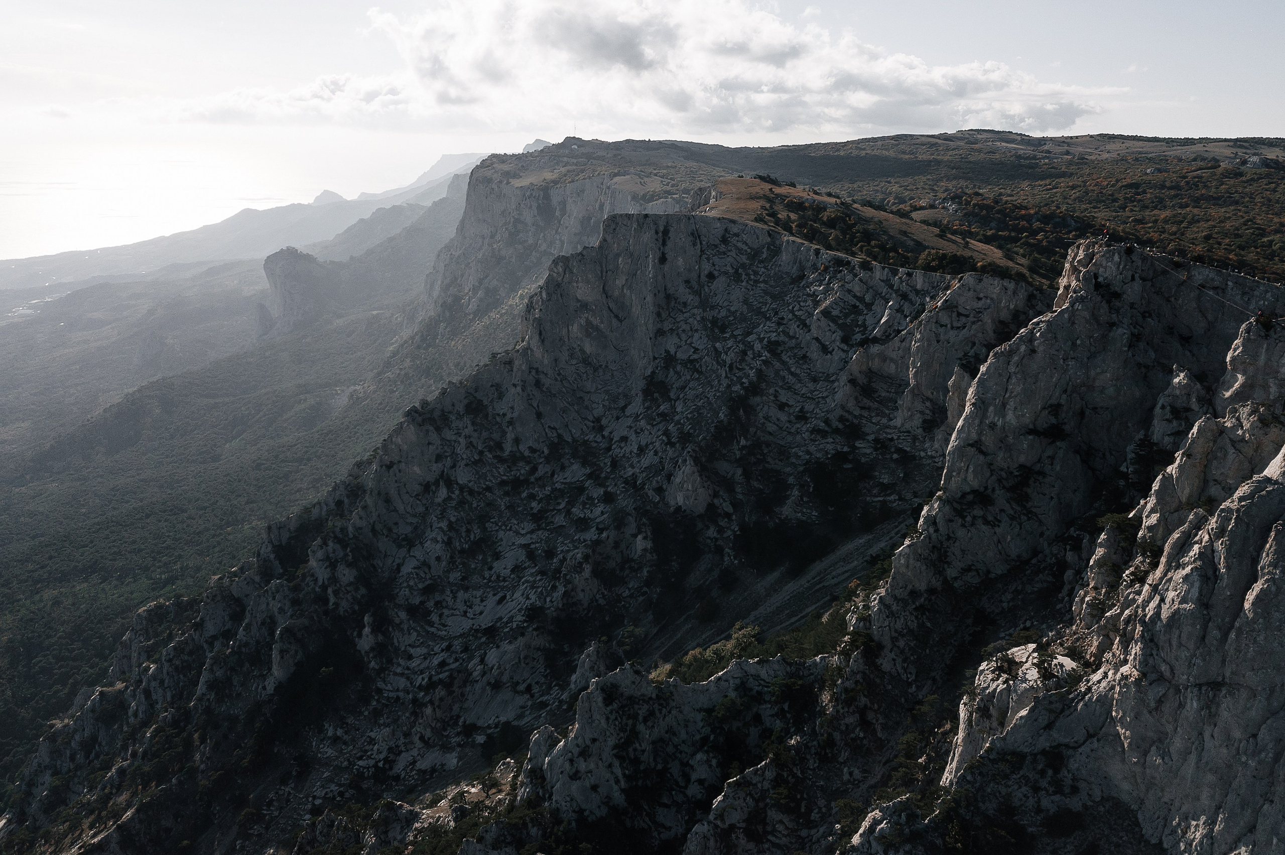 Свадебный фотограф Новосибирск
