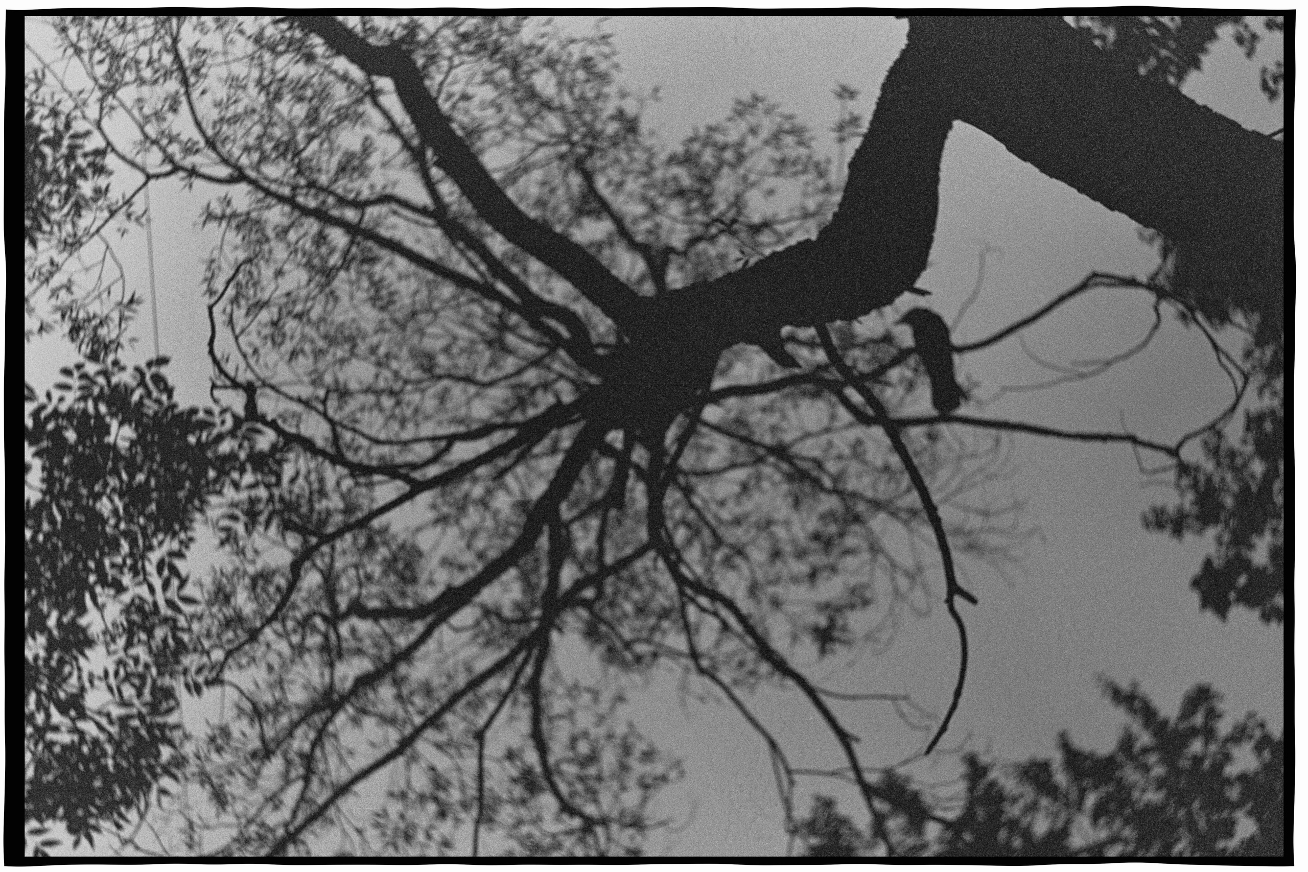 Шмитов Егор