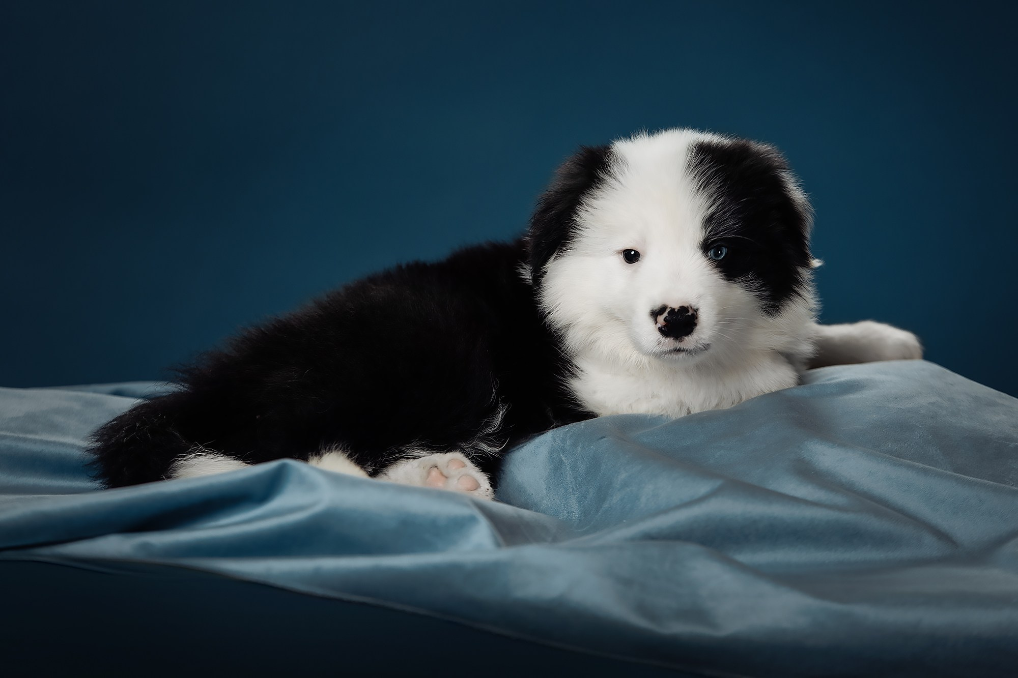 Синева. О нас