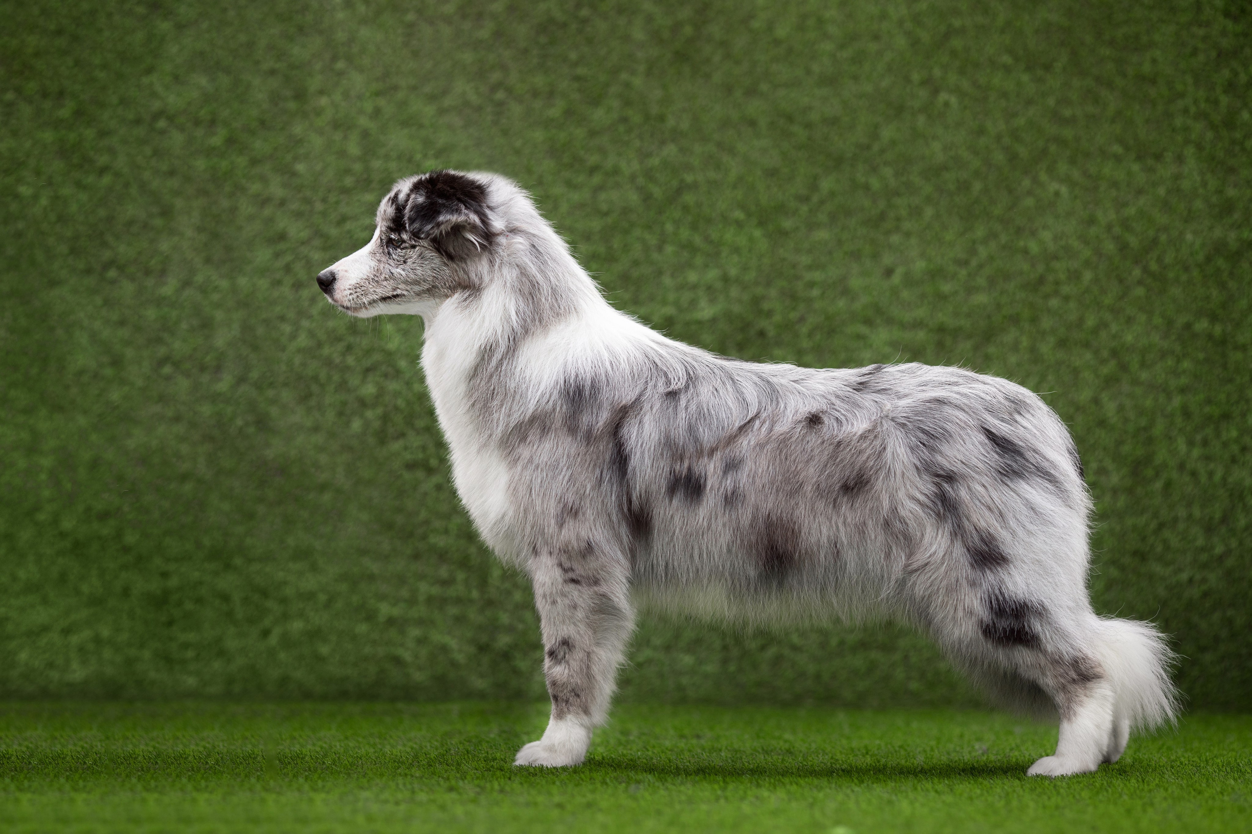 Роскошь в ростошах. О нас