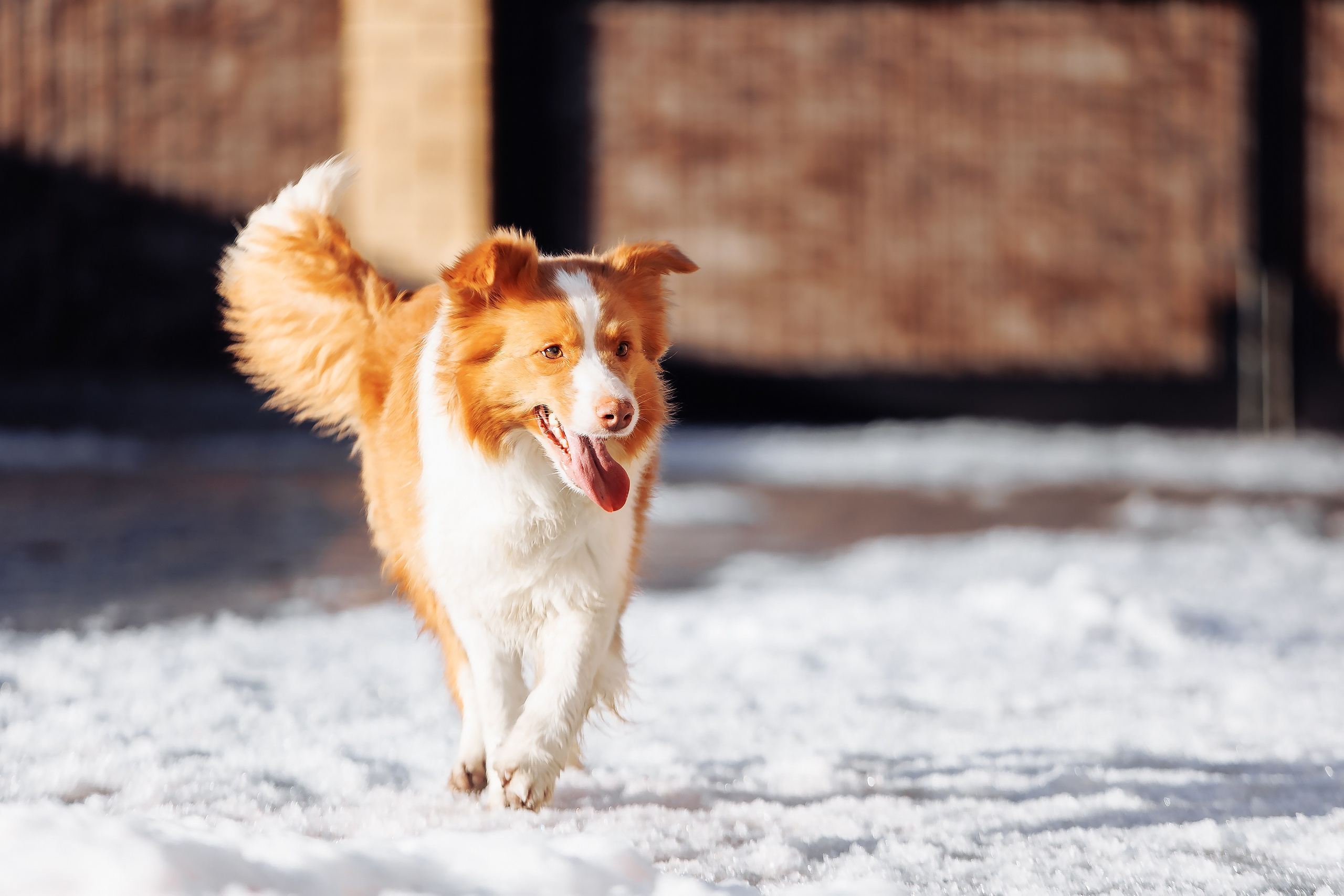 Пока таяло. О нас