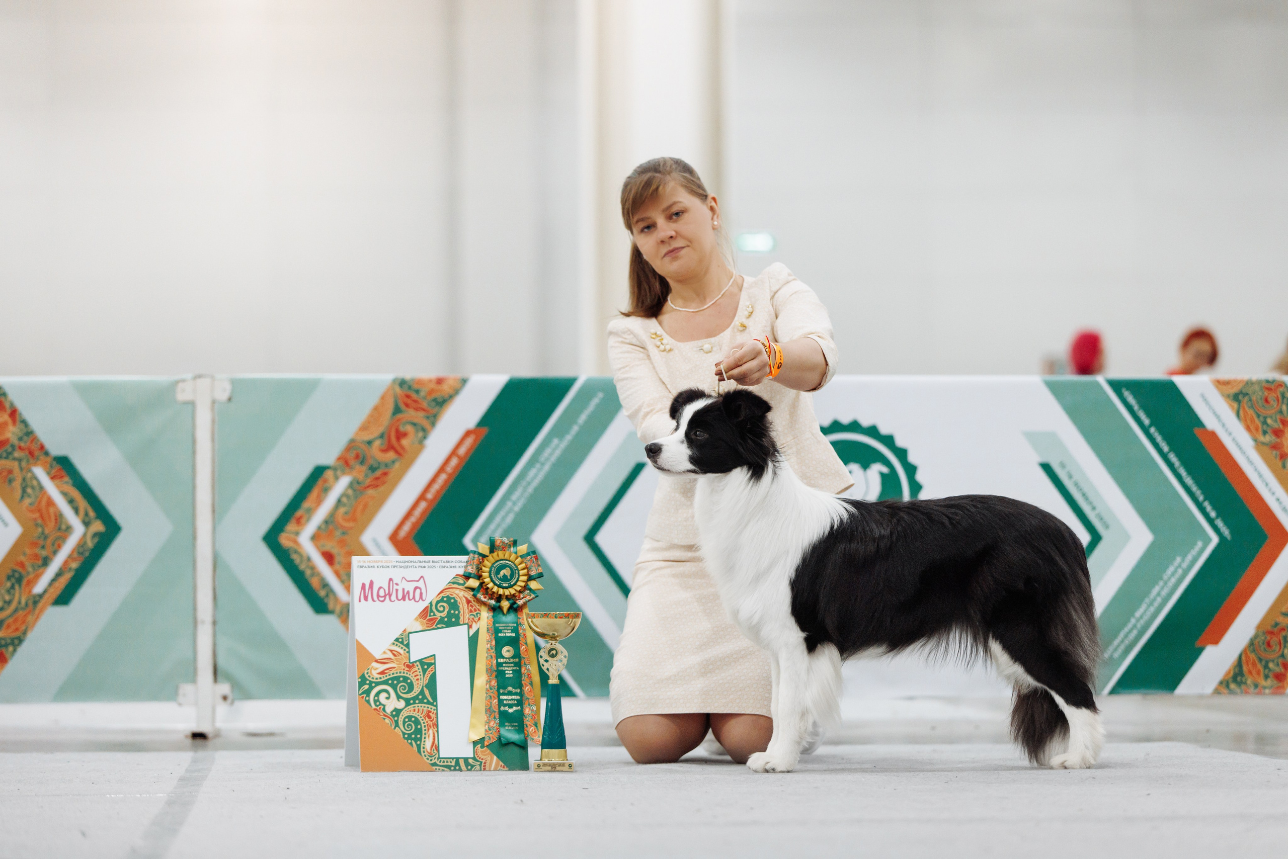 Евразия 25. О нас