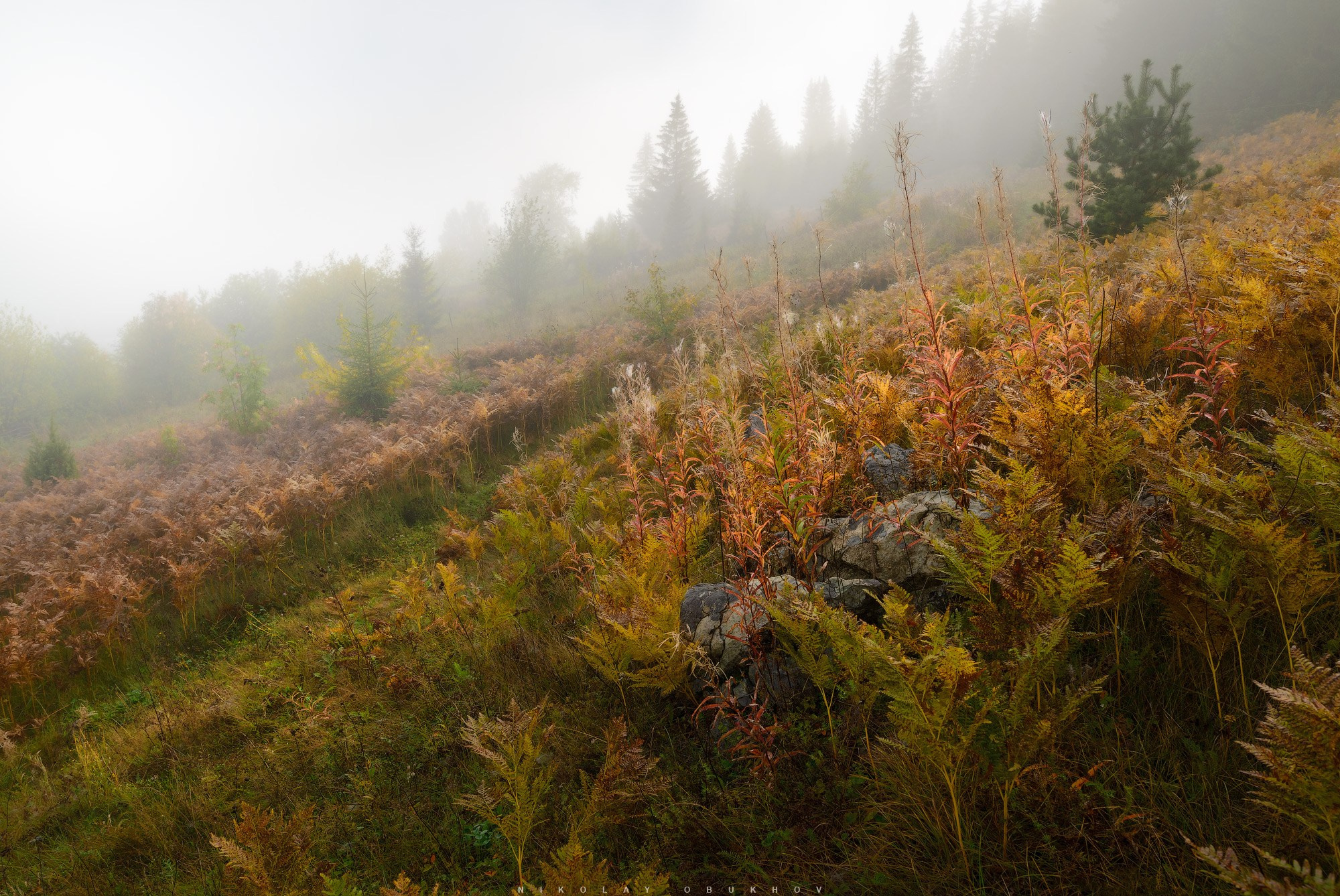 Осенние пейзажи Черноисточинска | Фотограф Николай Обухов