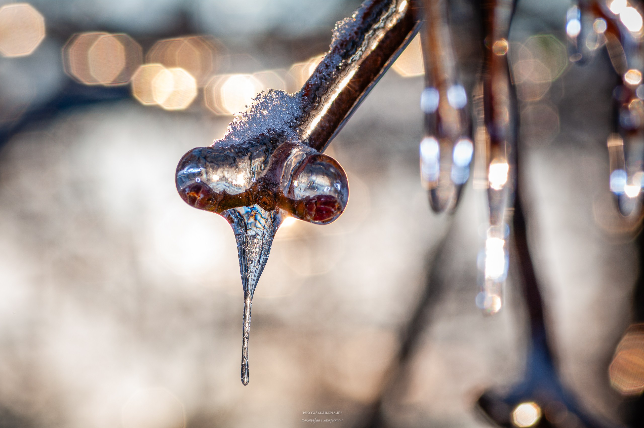 Осязаемая красота. Авторские стильные фотокартины