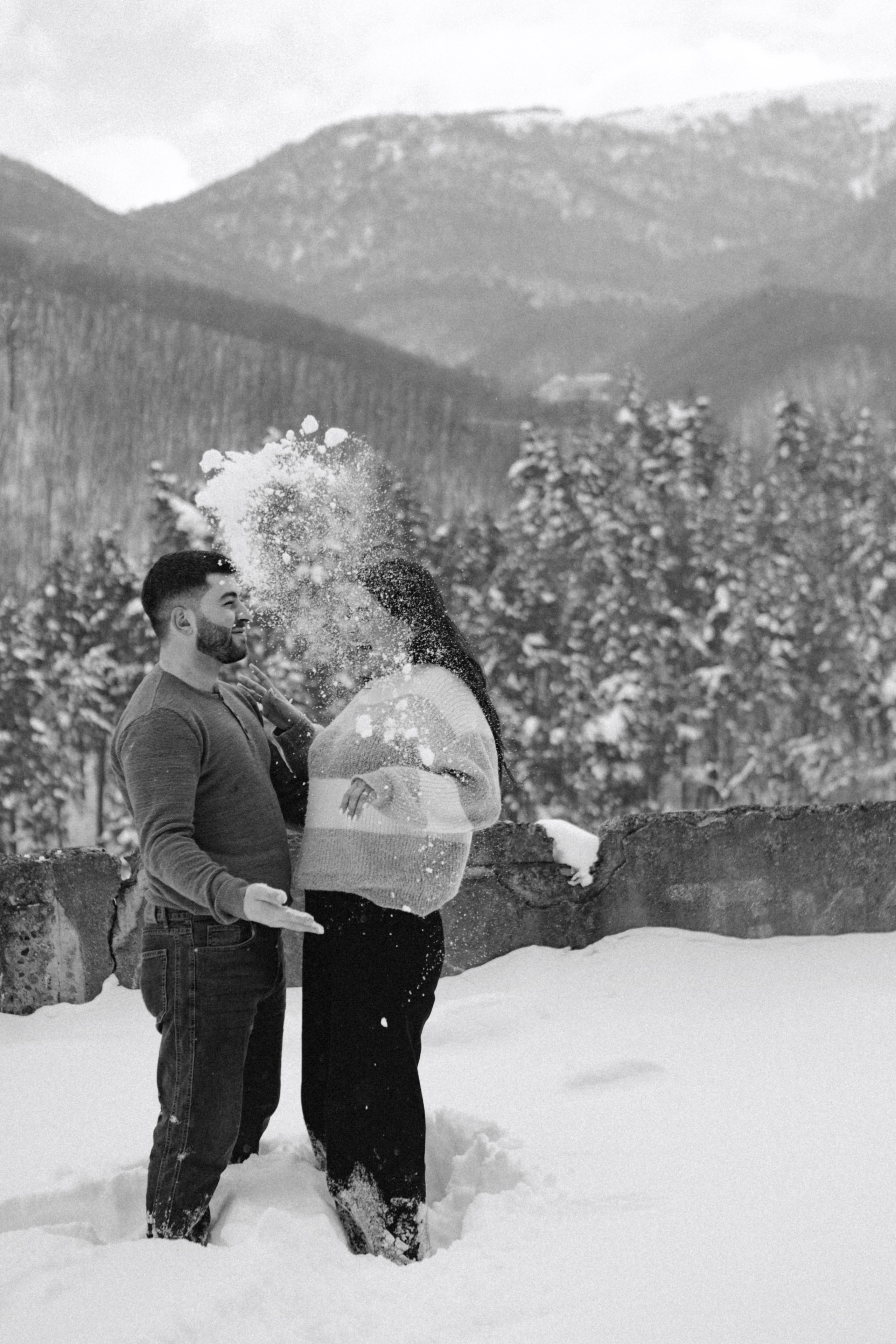 Снежинки. Գլխավոր