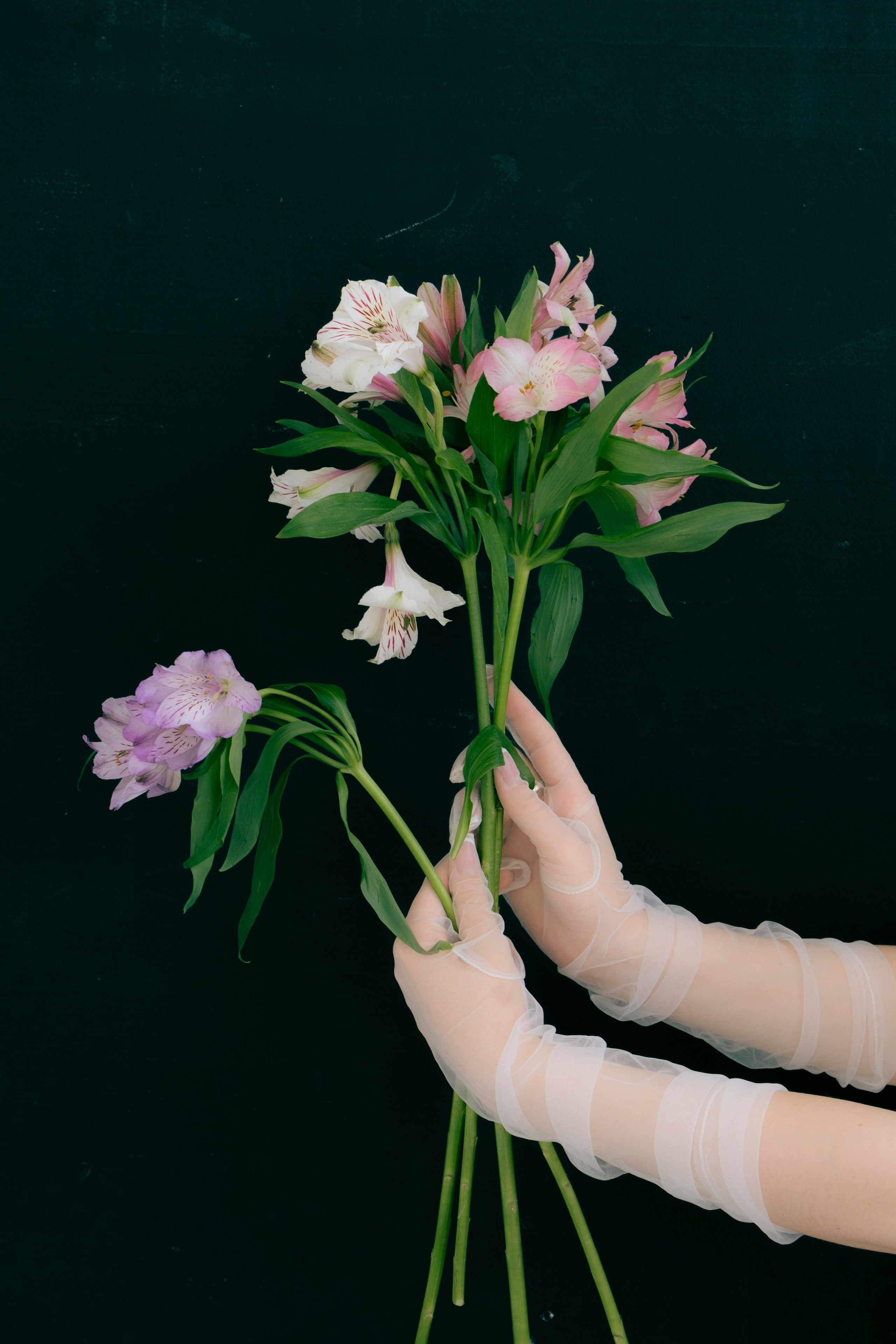 Набор пресетов для Lightroom. Портретный фотограф Настя Богданова