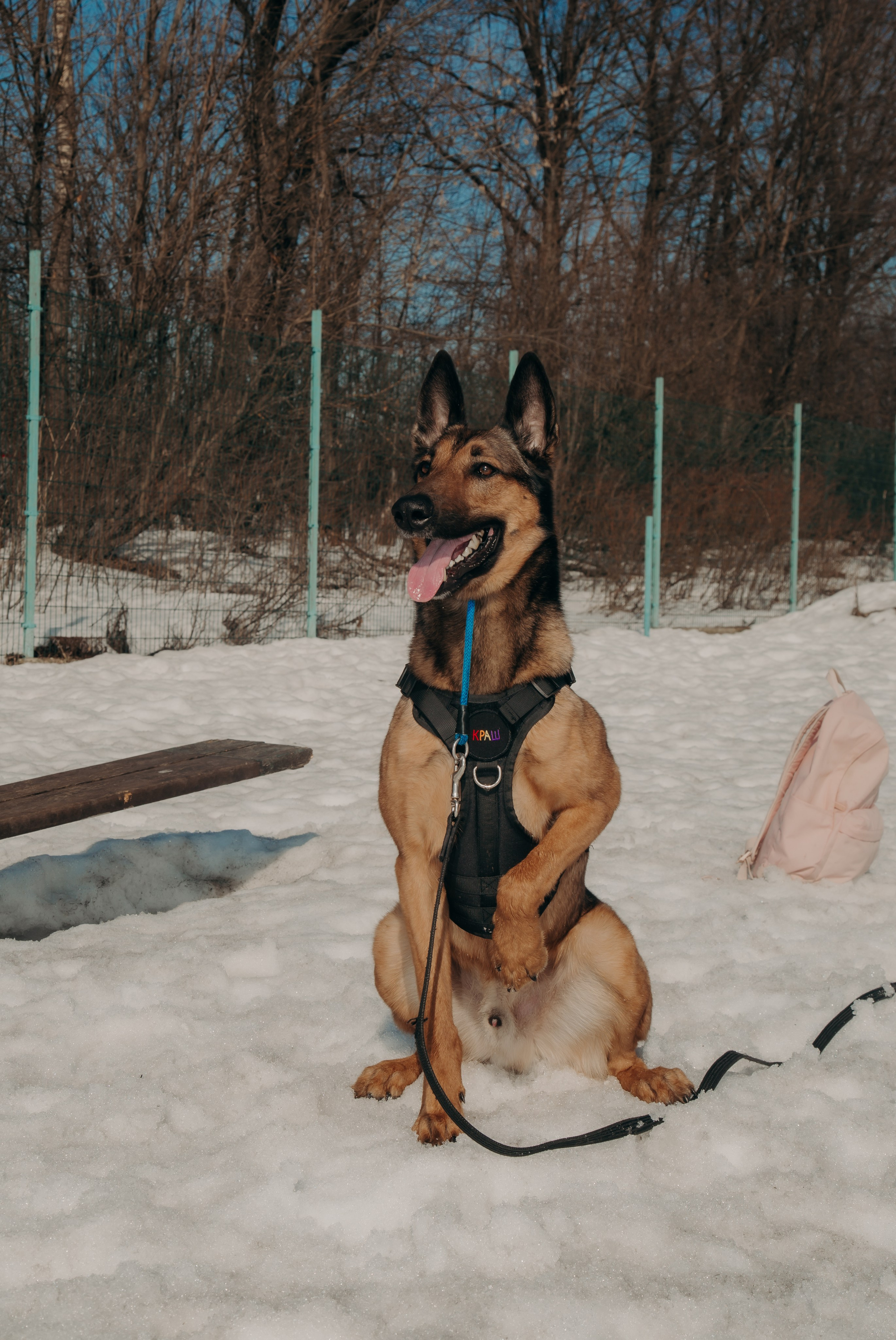 Тренировка с киноголом. Фотограф вашей улыбки. Москва