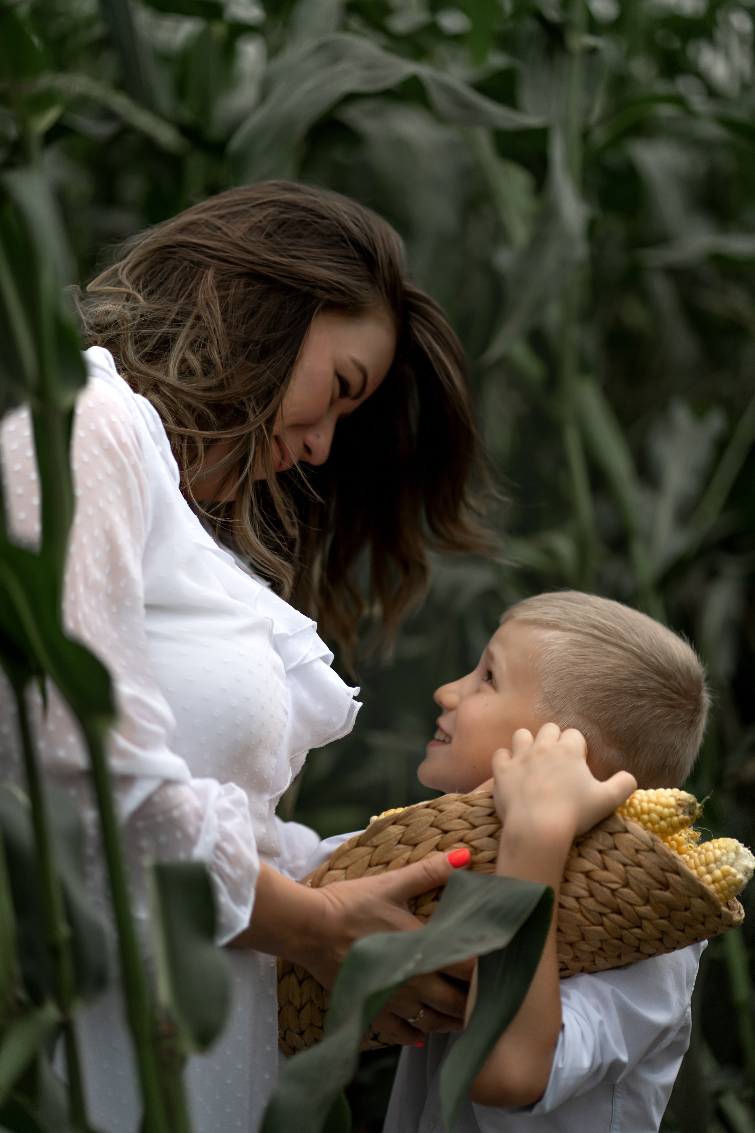 Прогулка в кукурузе. Фотограф в Красноярске. Юлия Чаушанская