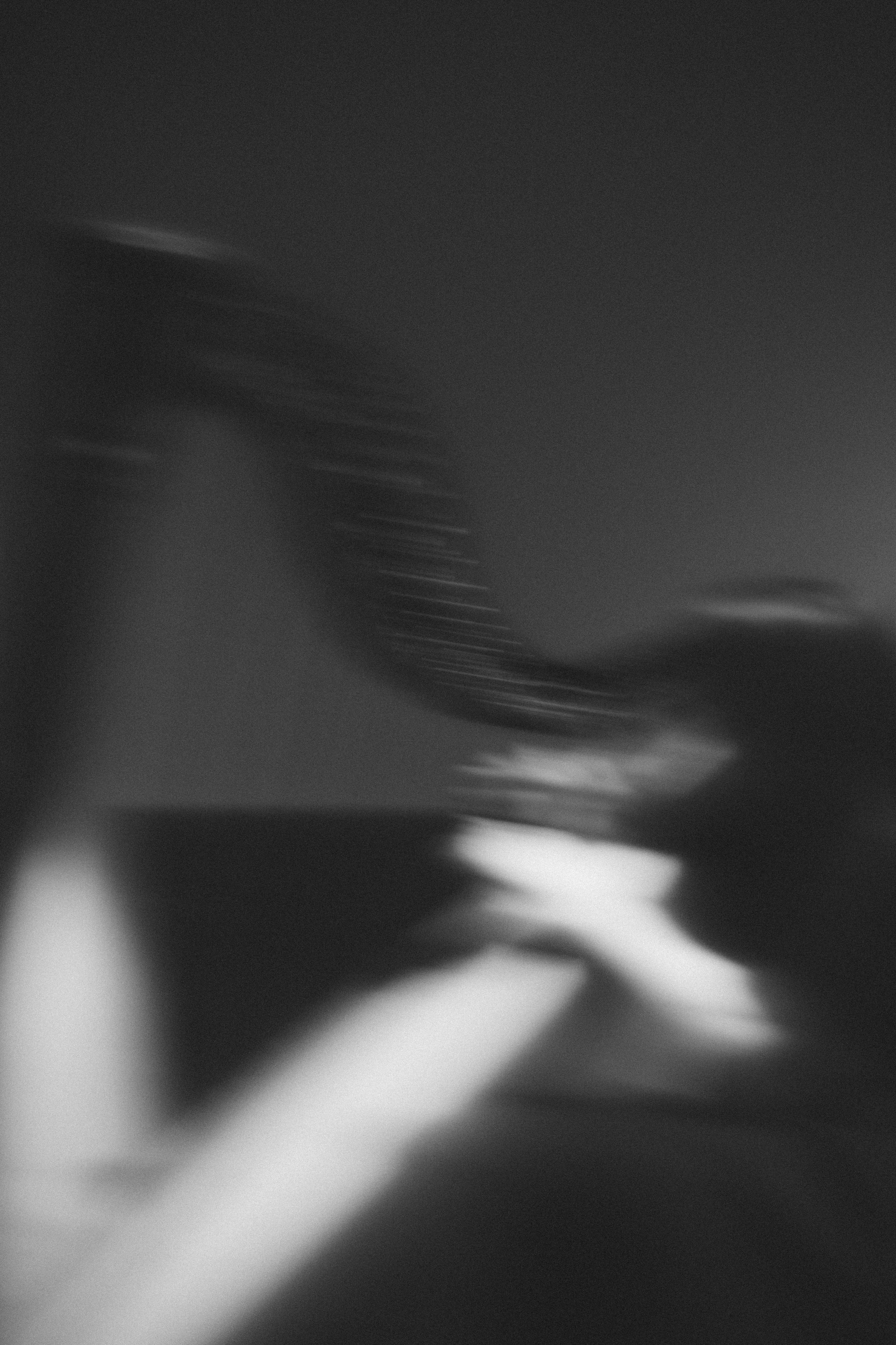 Арфовый дом. Veronika Popadeikina Photographer