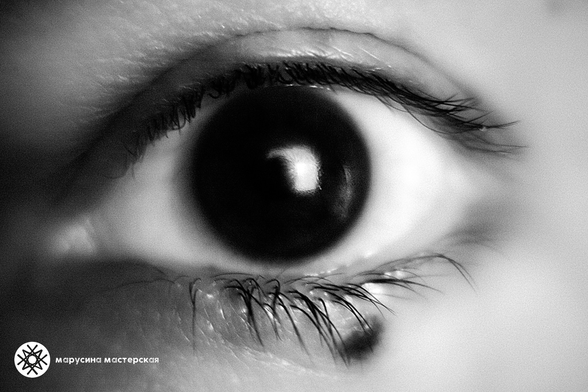 Творческая фотография, снятая в рамках зимней творческой практики, автор — Ксения Щеглова