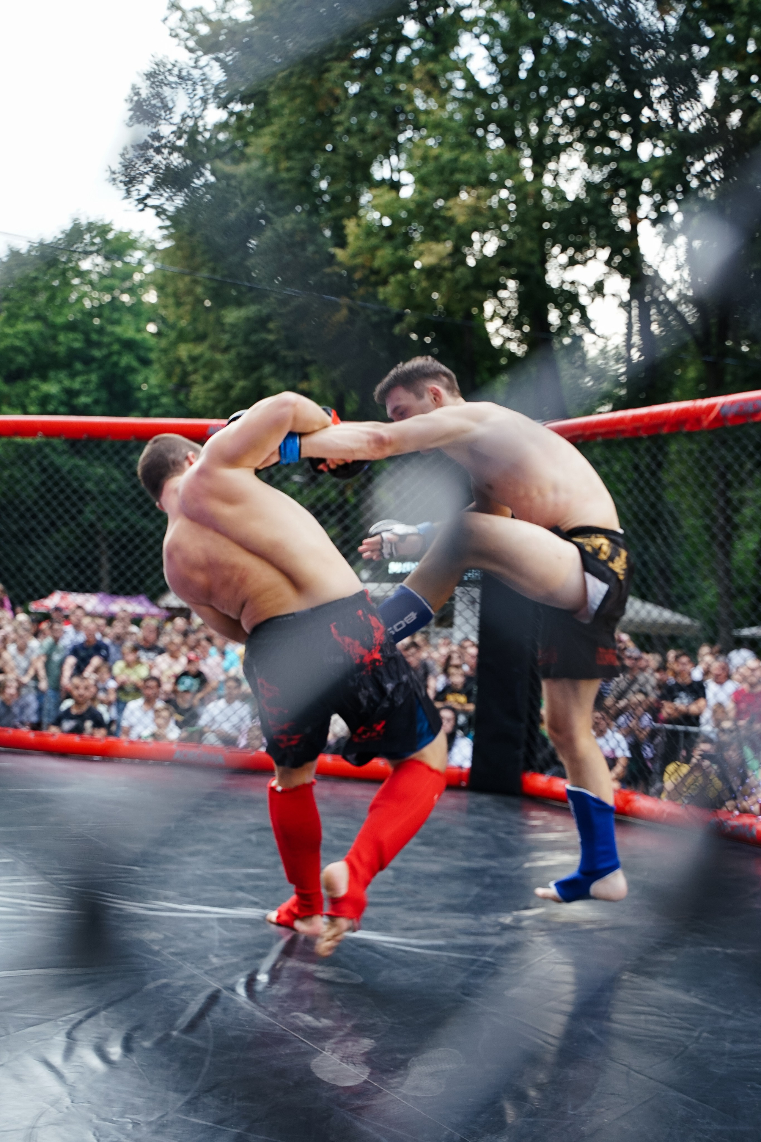 Вечер боев в ЦПКиО. Фотограф Надежда Погребняк | Рязань | Москва