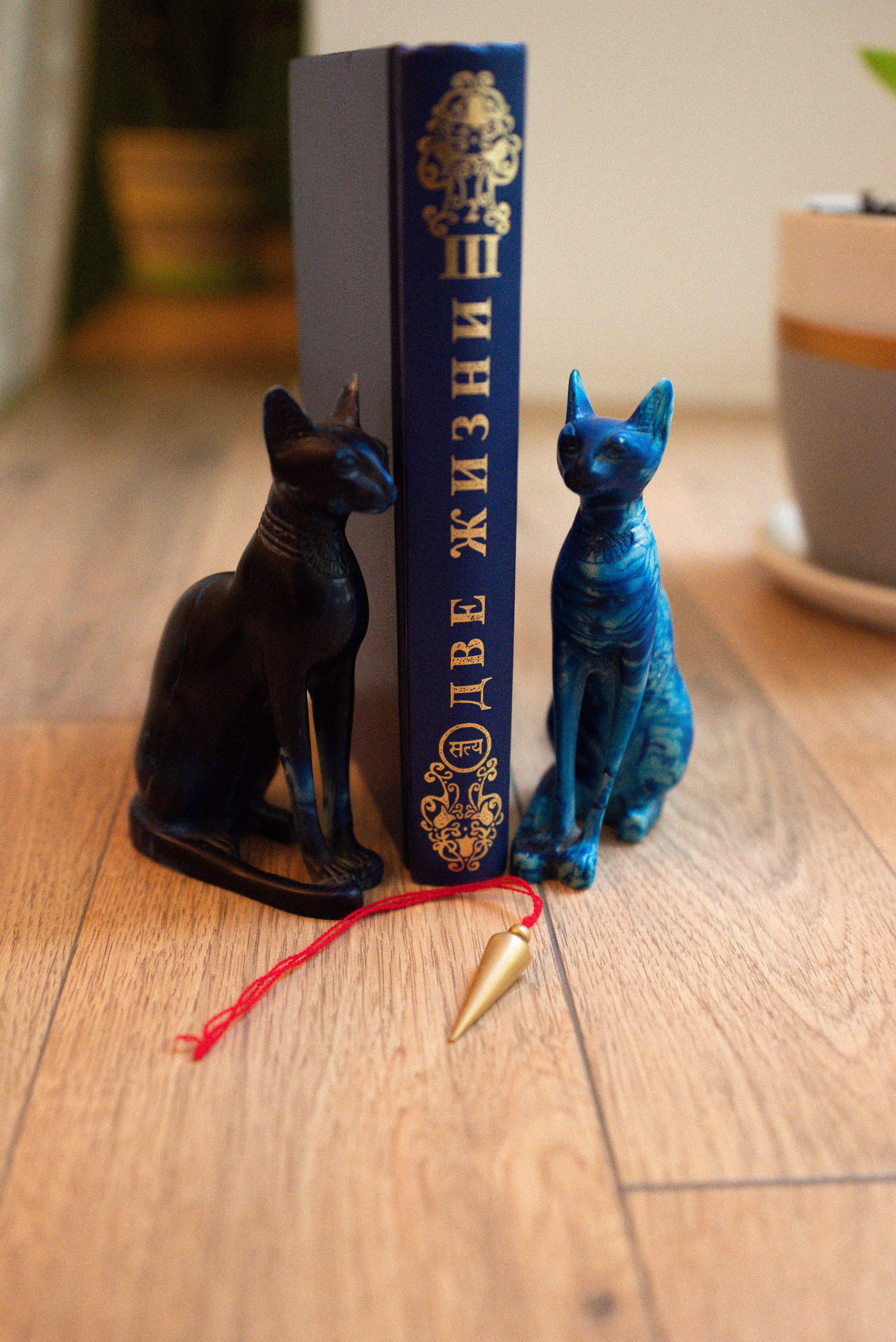 Алексей (съемка для блога @zametkiproroka). Фотограф Москва Настя Профотовна. Репортажные, свадебные и контент фотосессии