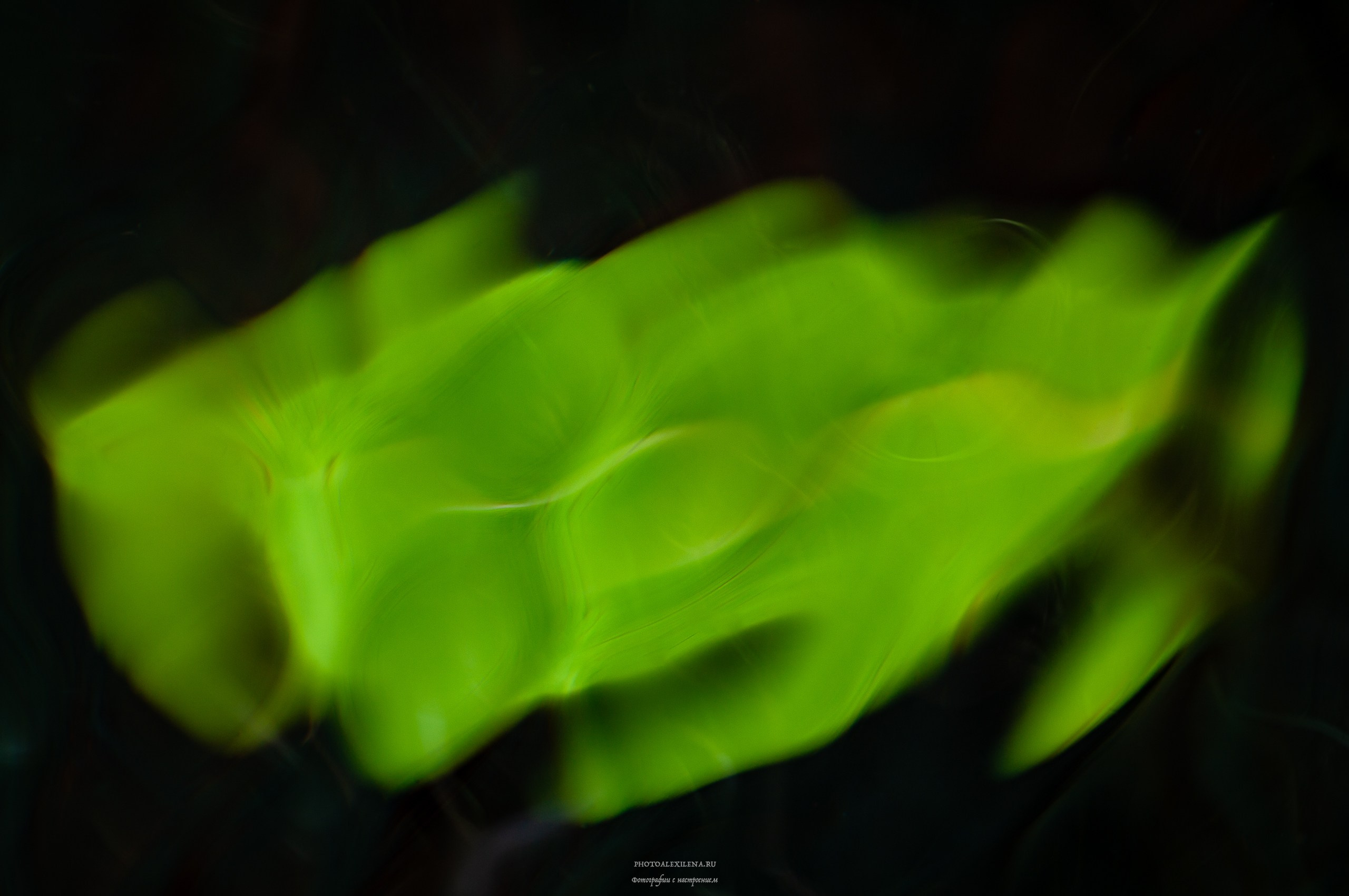 Отражение в воде. Авторские стильные фотокартины