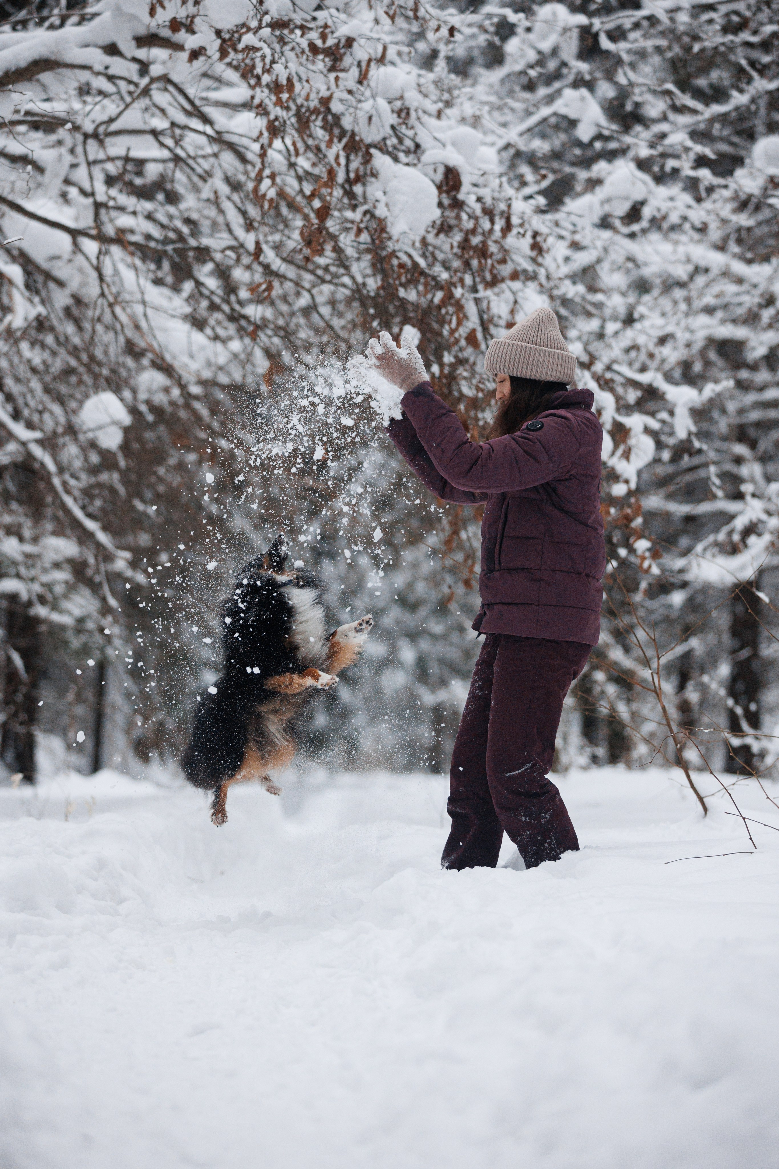 Даша и компания. Фотограф анималист Кристина Карпова, Москва