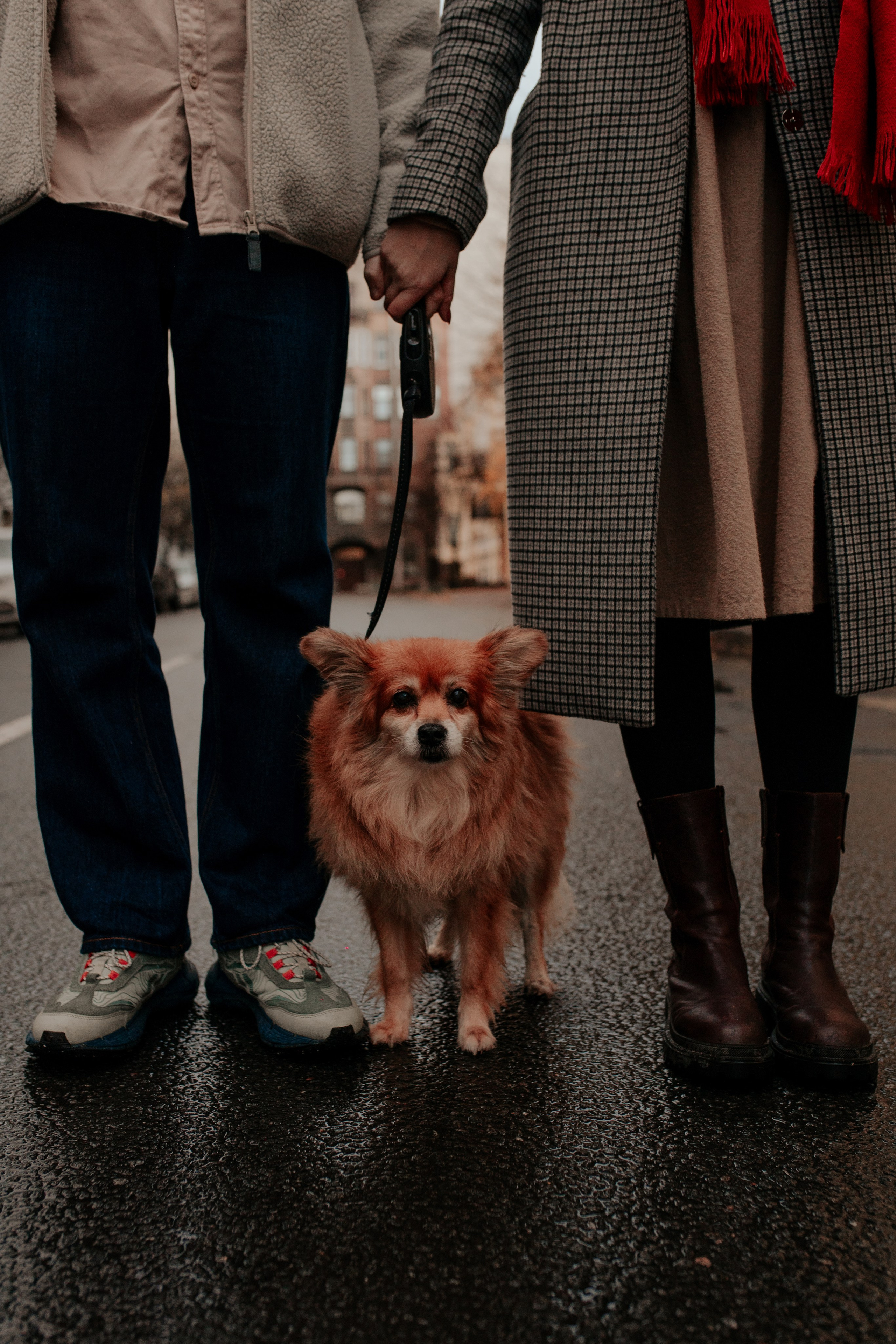 Юля и Ваня. Фотограф в Санкт-Петербурге Лиза Семченкова